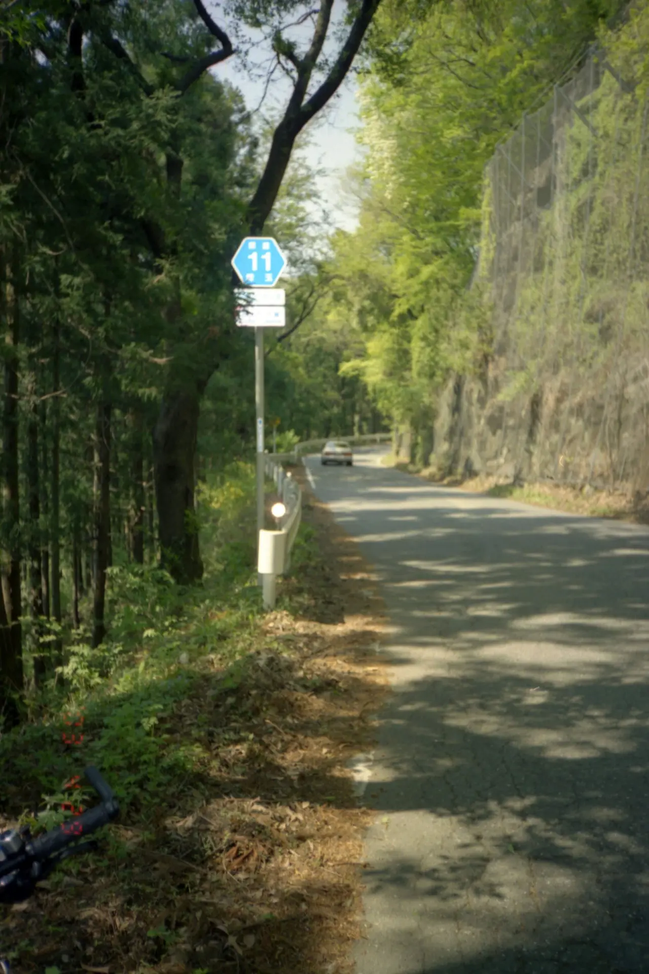 埼玉県道11号、定峰峠への途中