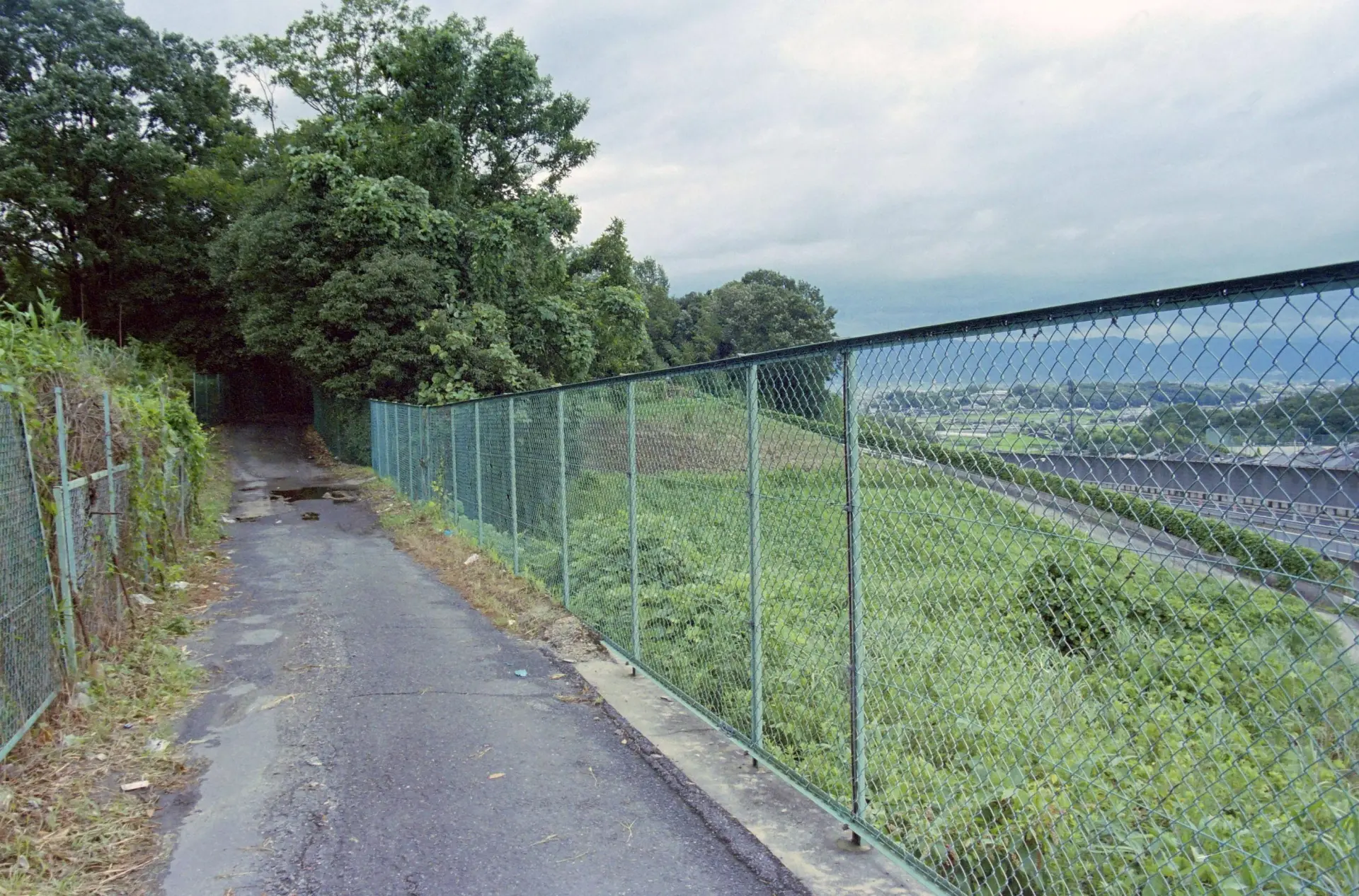 阪奈道路の側道のような場所