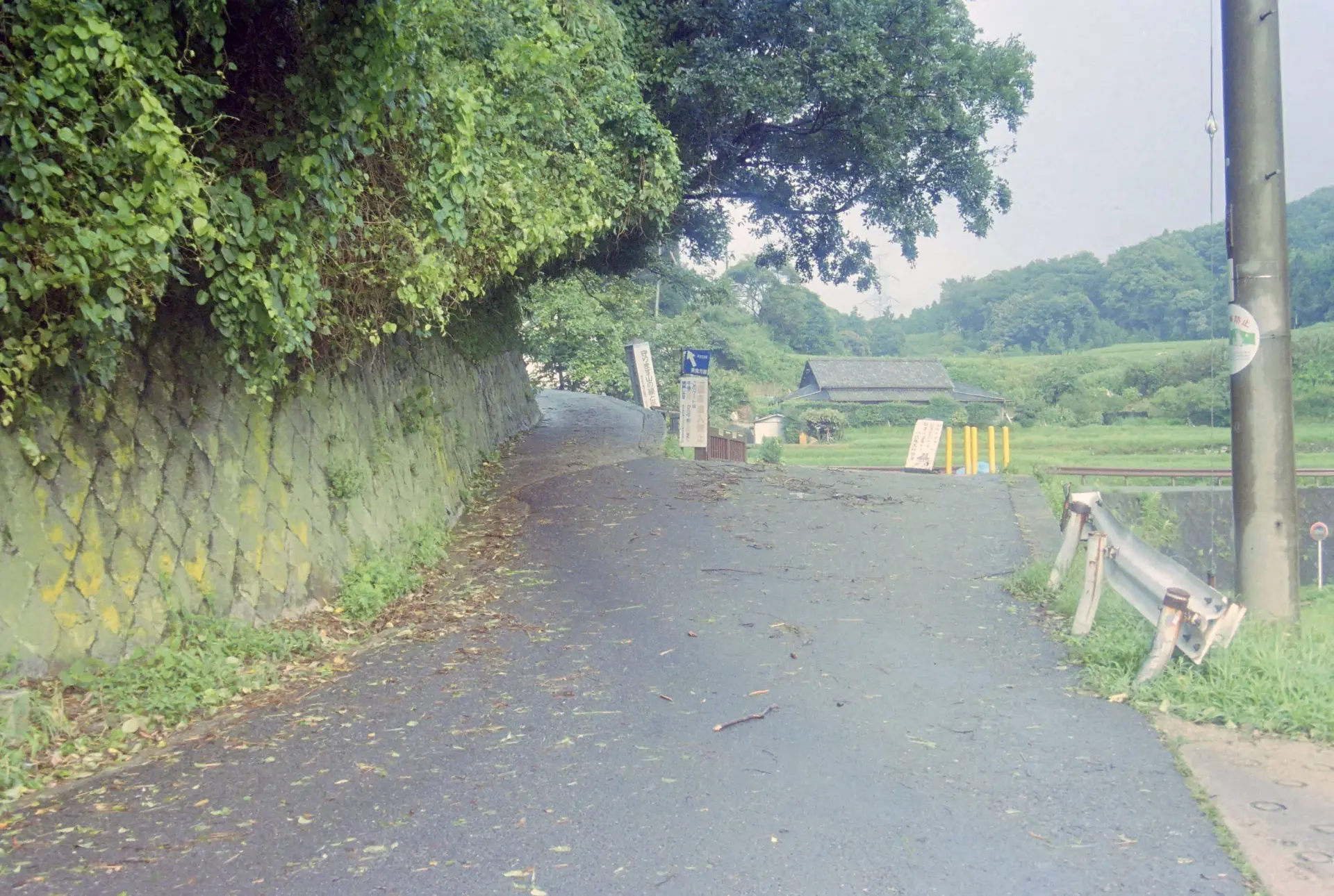 とても有名な分岐