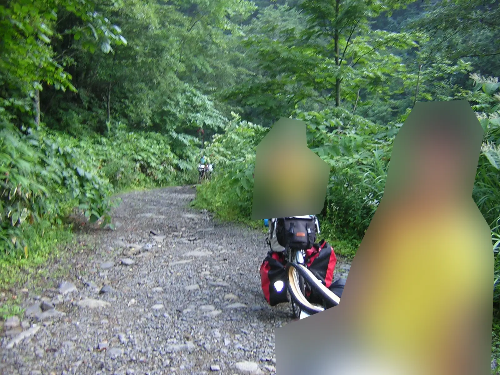 峰越林道田代相馬線