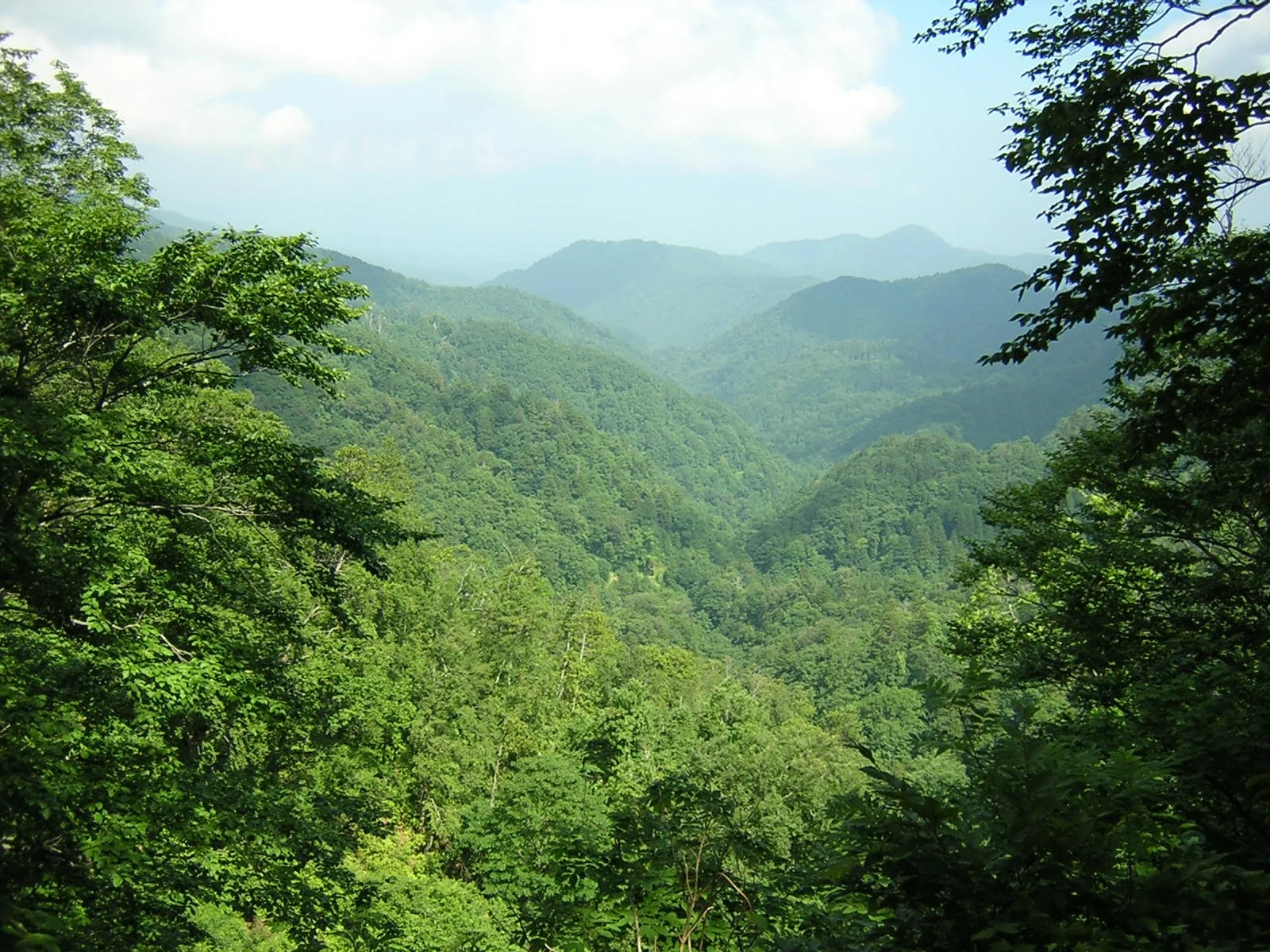 峰越林道田代相馬線からの風景