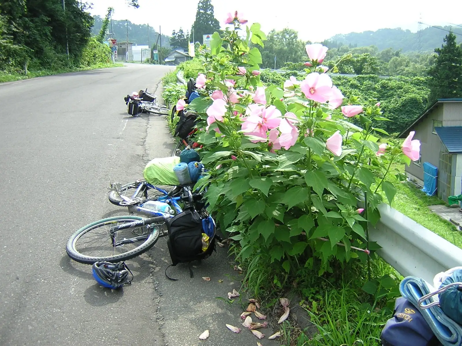 山形県内陸部の集落