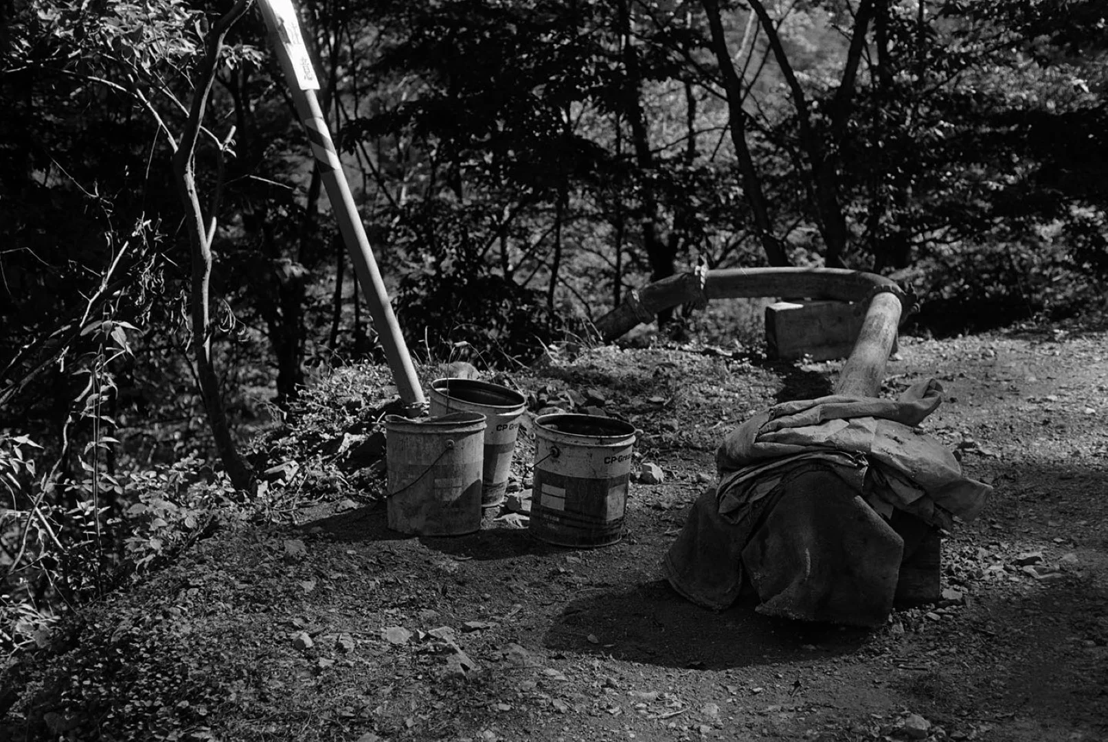 KONICA MINOLTA PAN 100作例