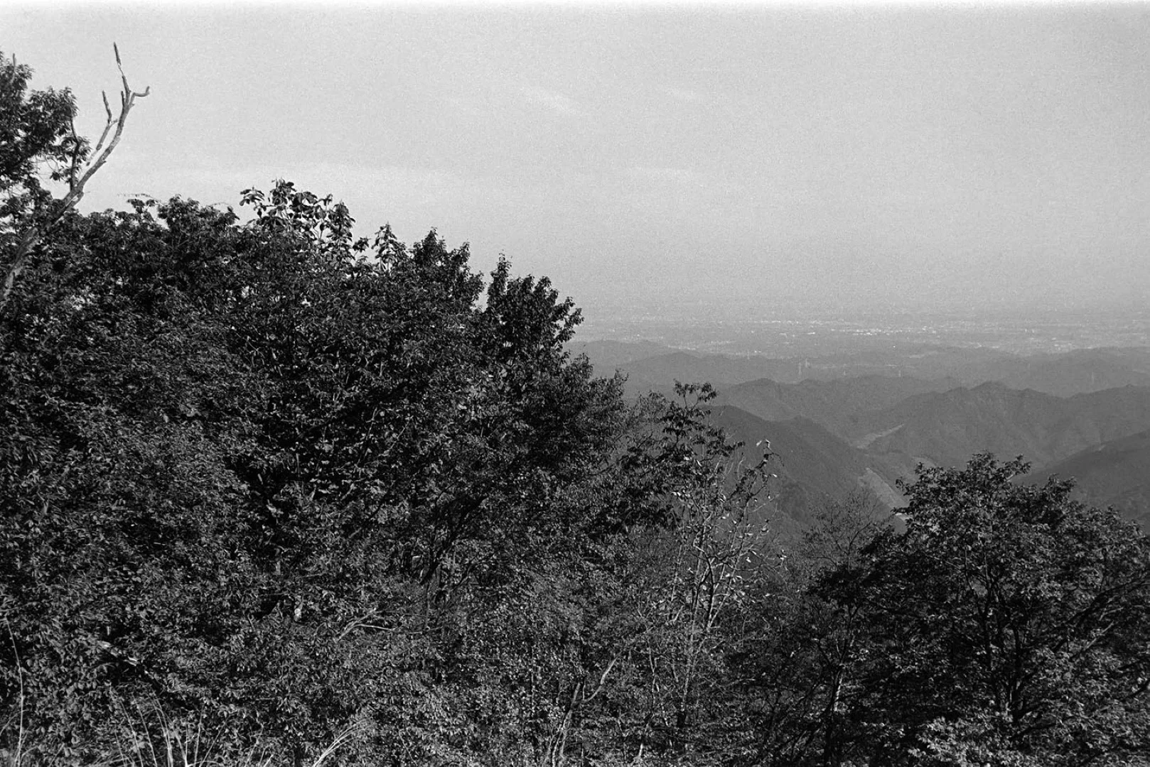 KONICA MINOLTA PAN 100作例