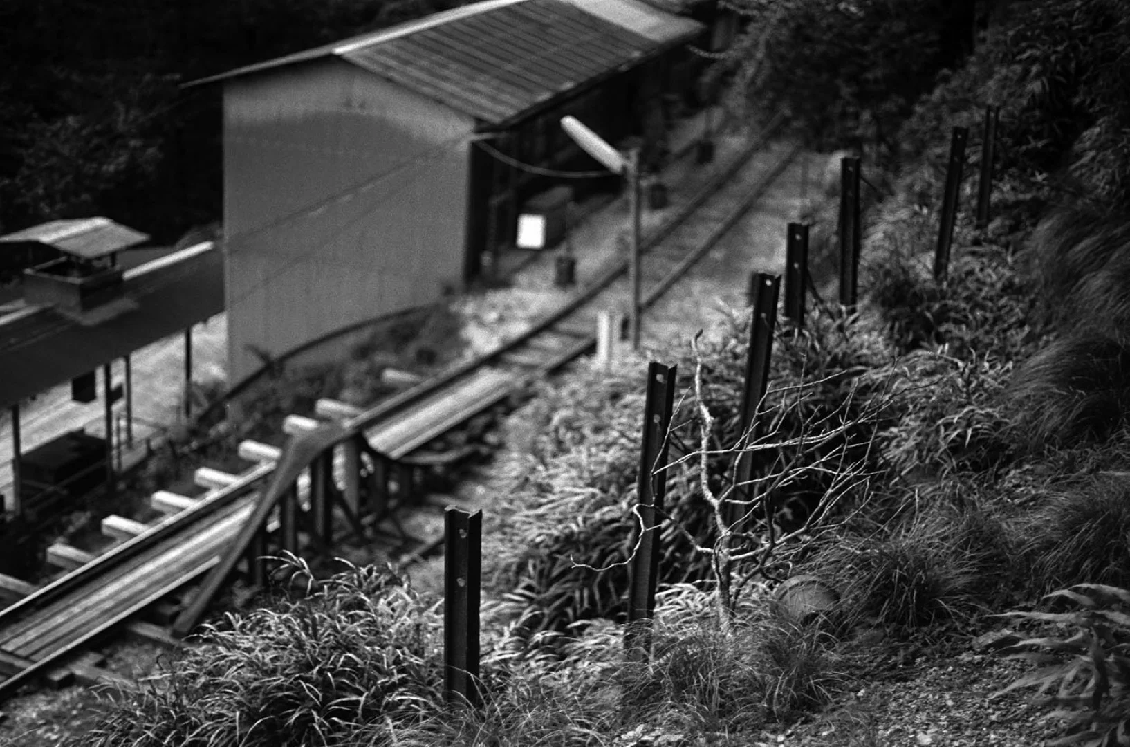 KONICA MINOLTA PAN 100作例