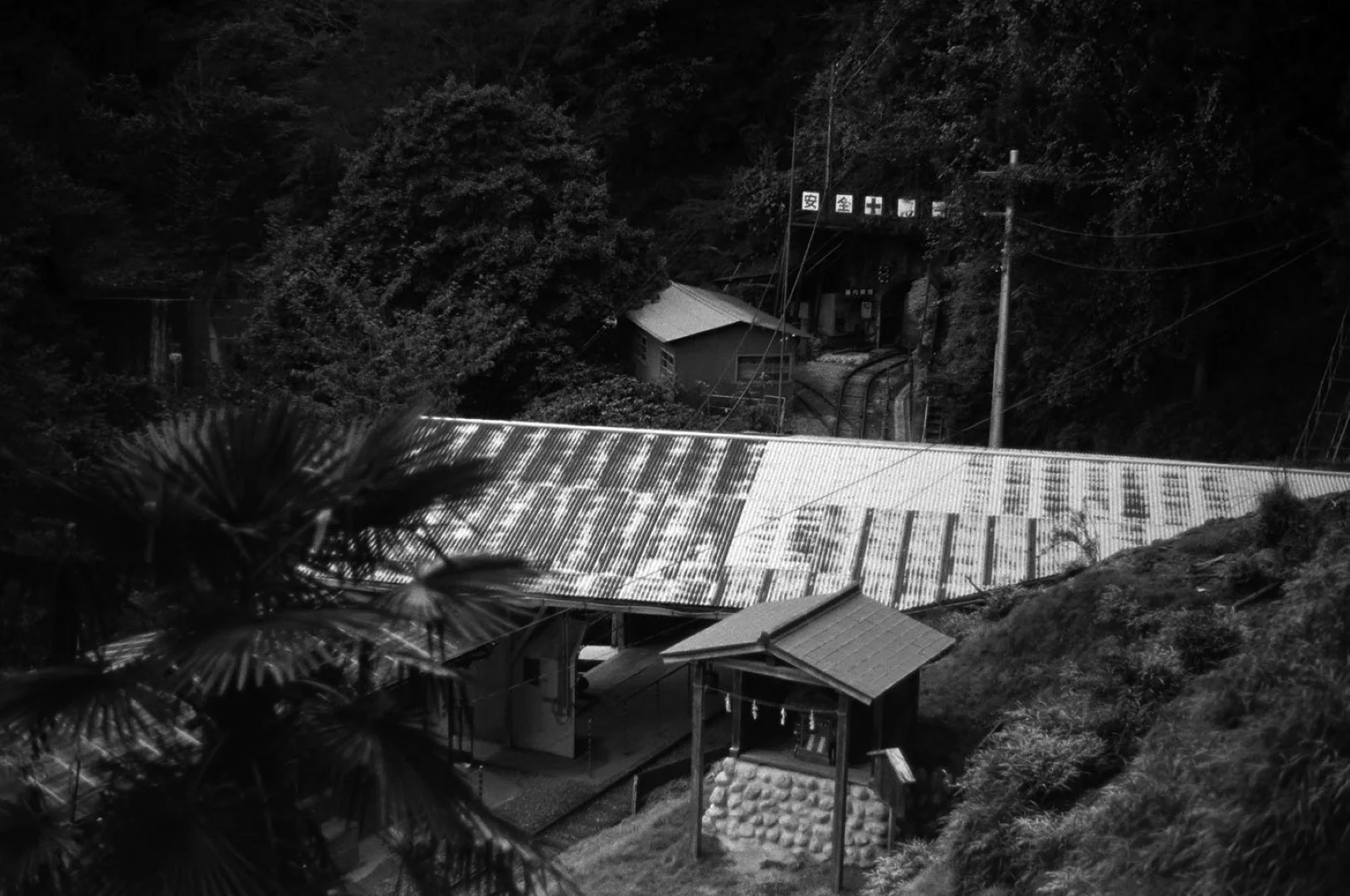 KONICA MINOLTA PAN 100作例