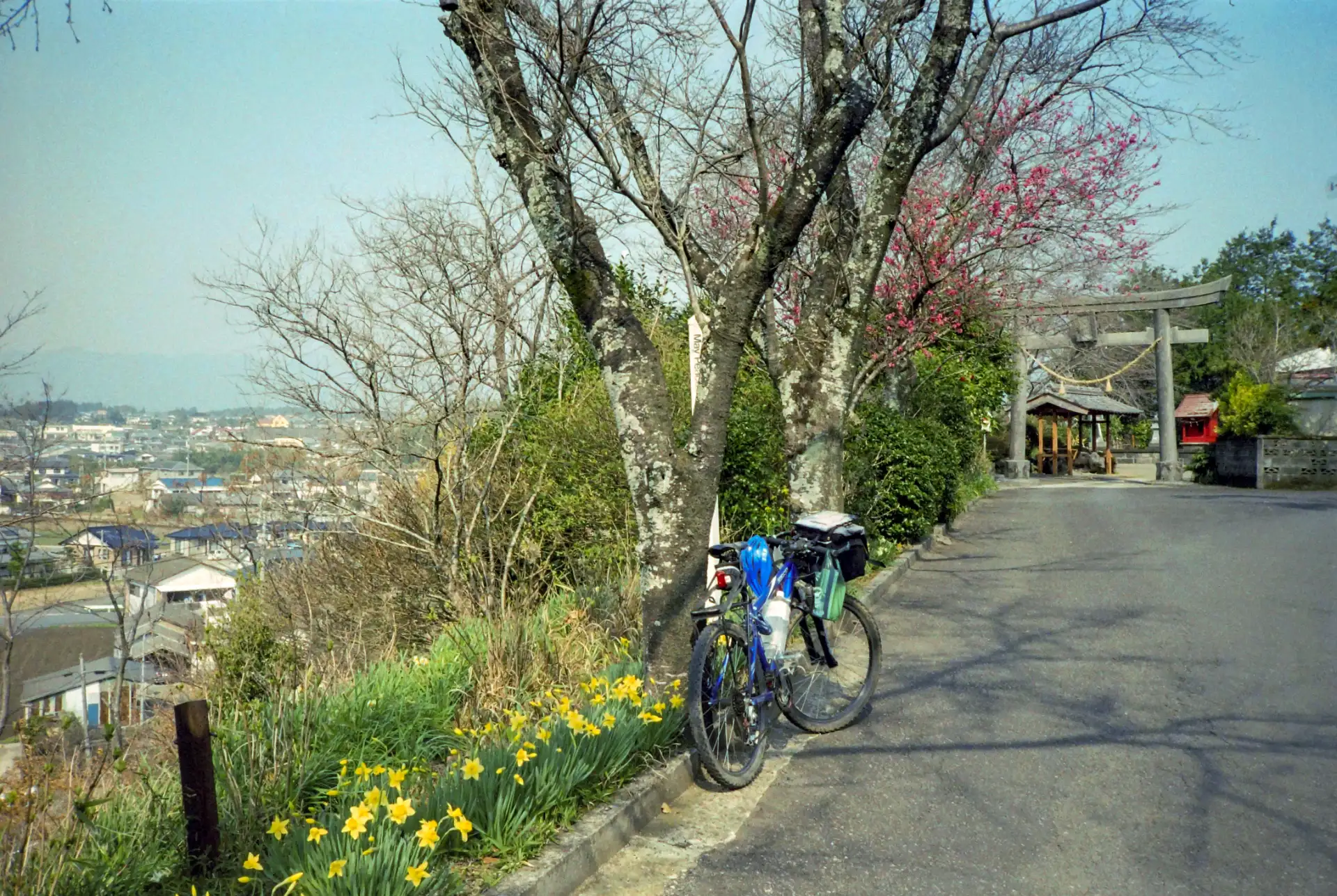 宮崎県小林市の風景