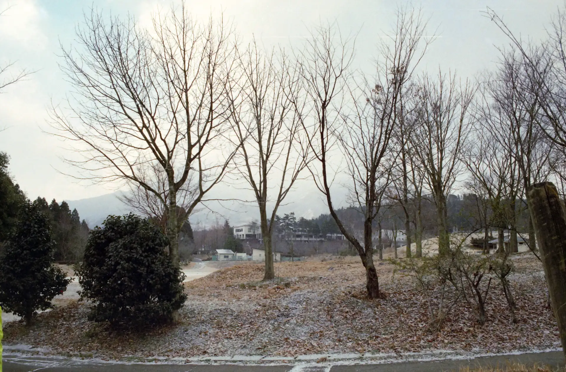 阿蘇のキャンプ場の風景