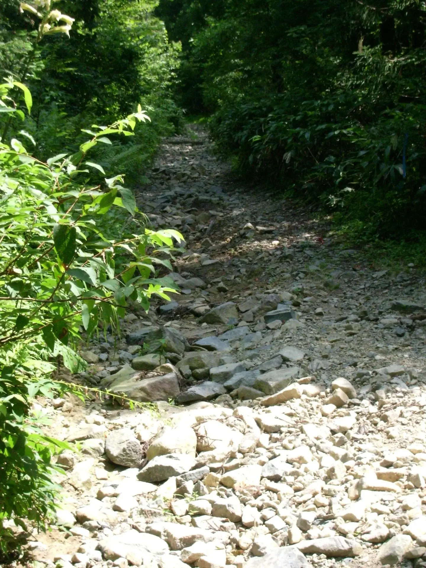 十方山林道の路面