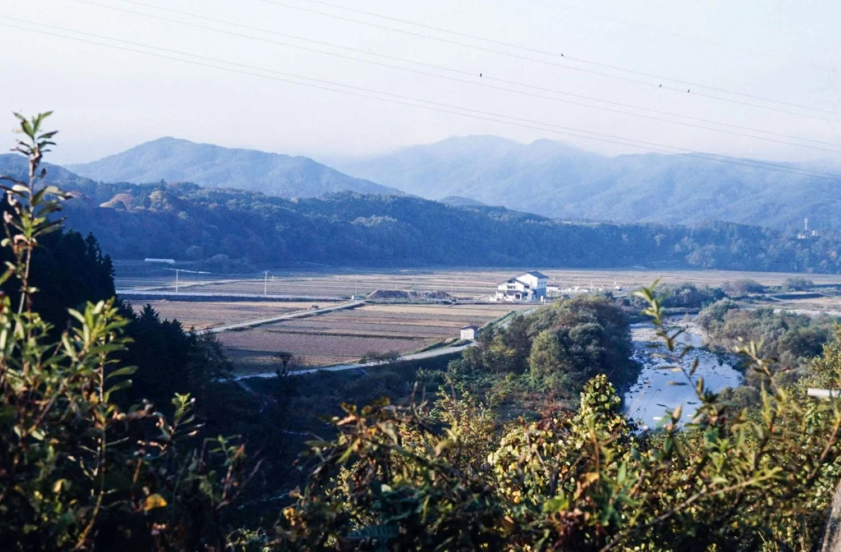 コニカミノルタ SINBIで撮った写真