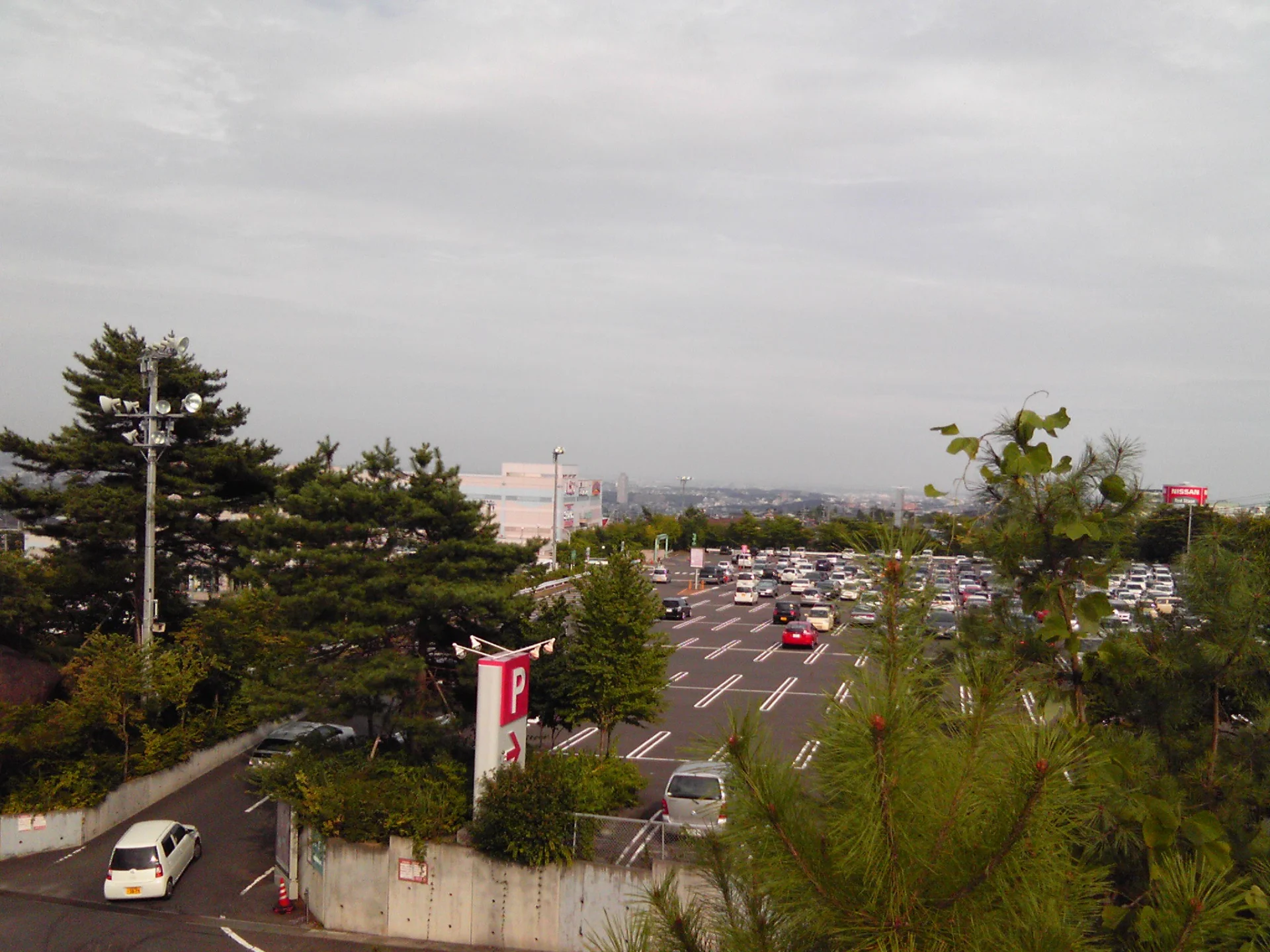 仙台大観音にて