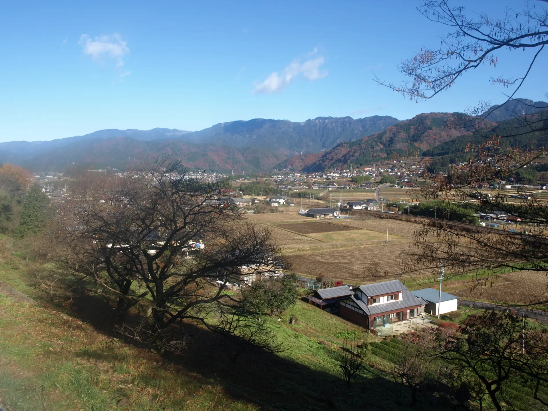 中央本線沿いの景色