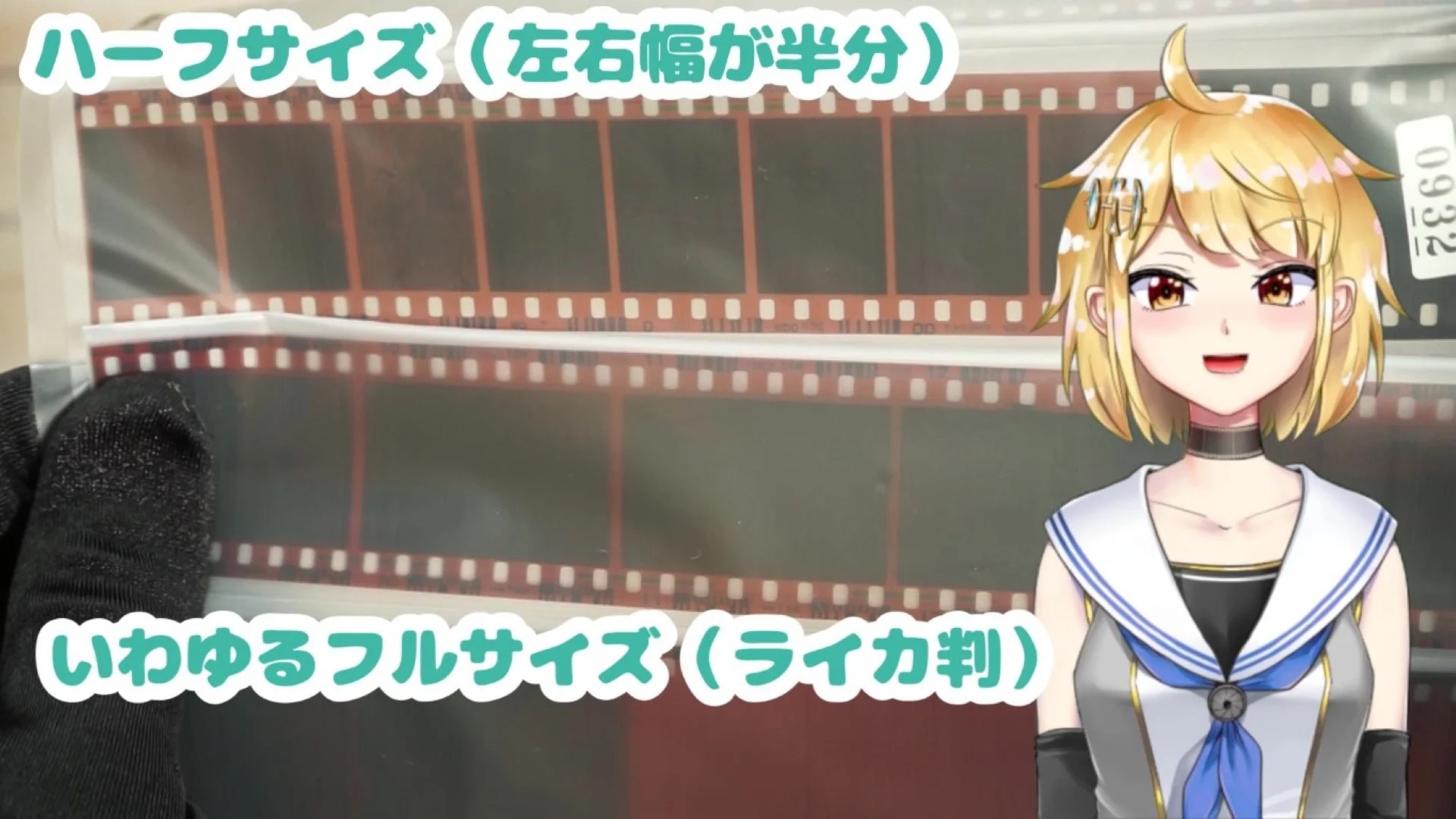 ハーフサイズの解説