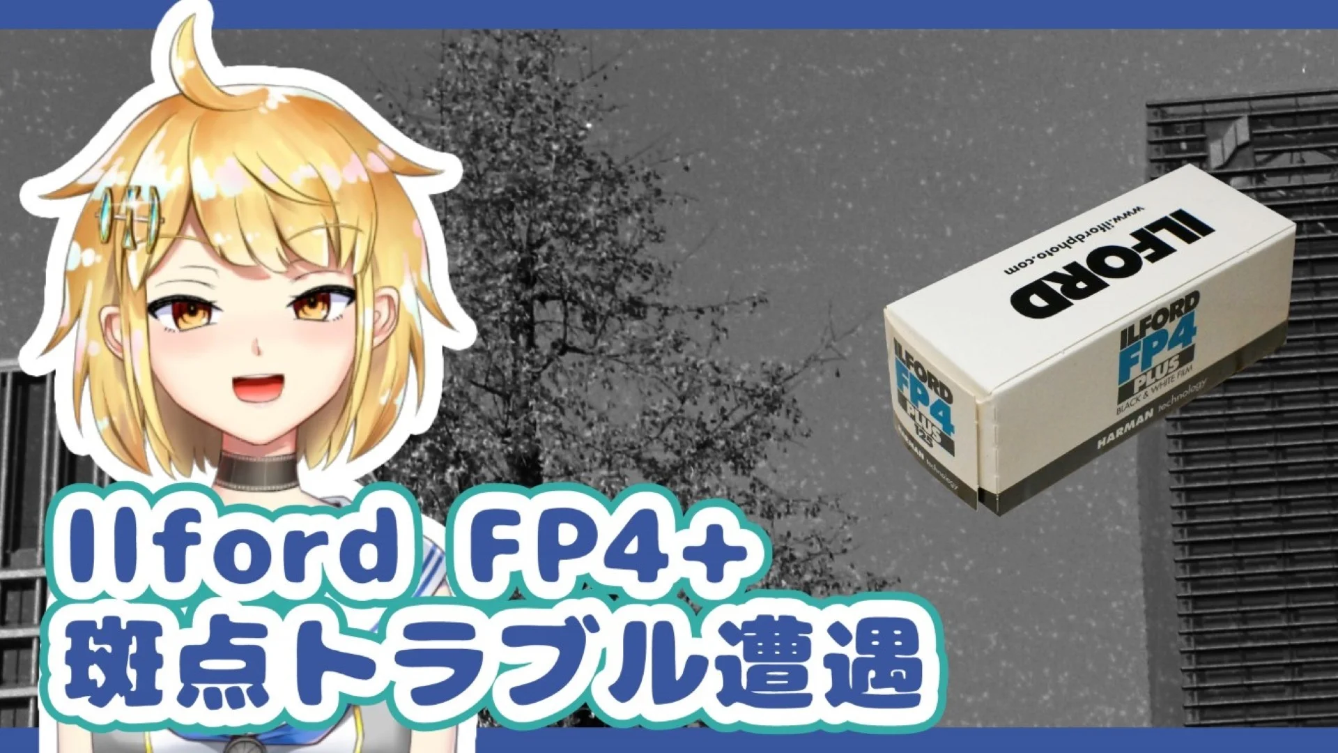 イルフォード斑点