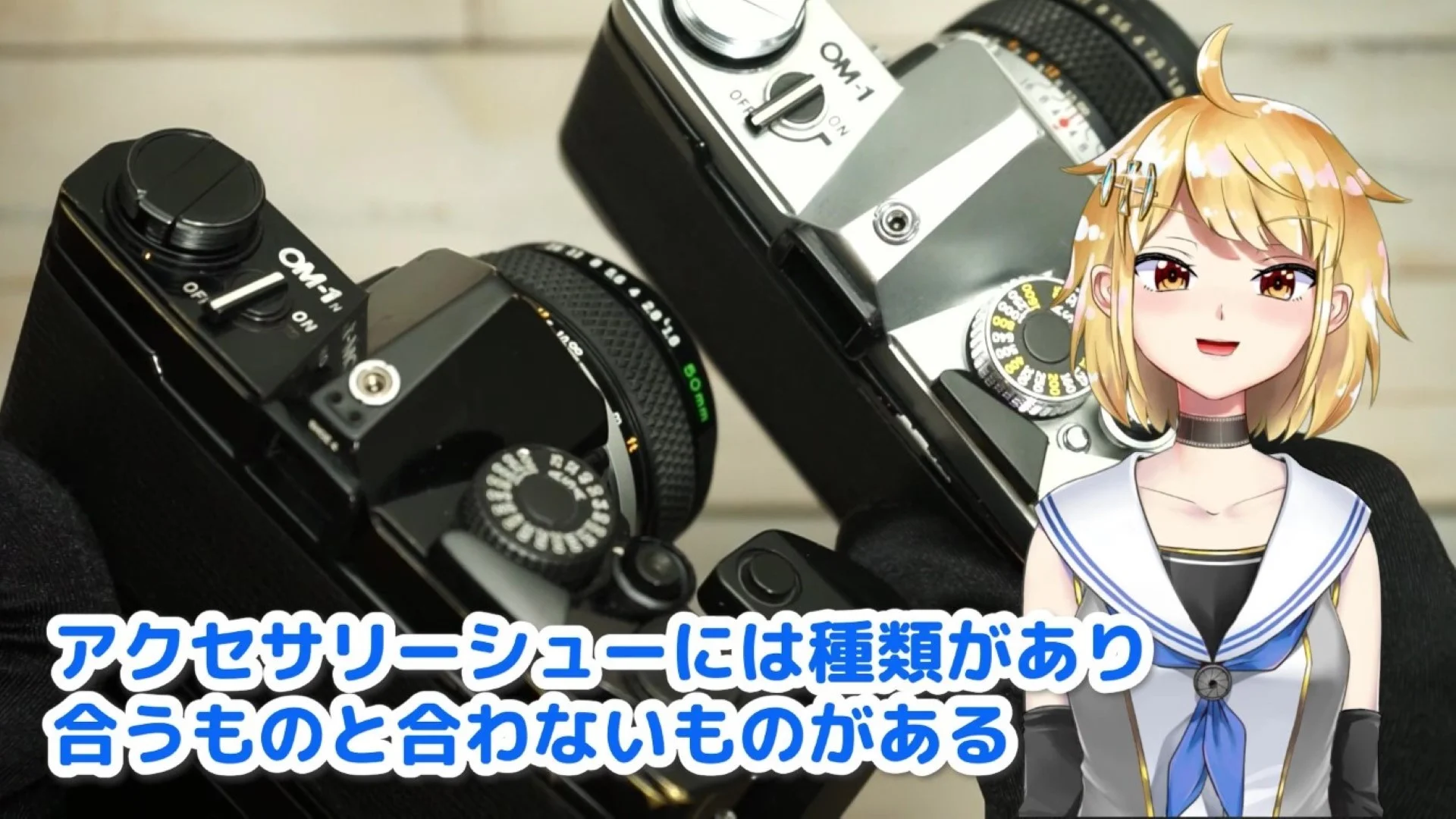 シューの互換性に注意