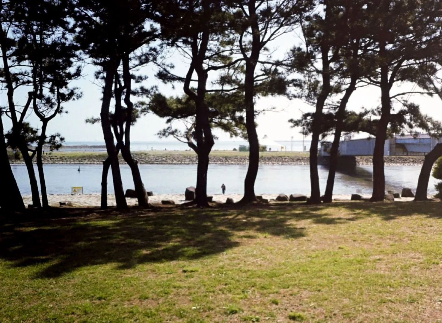 オリンパス ペンEEで撮影した写真