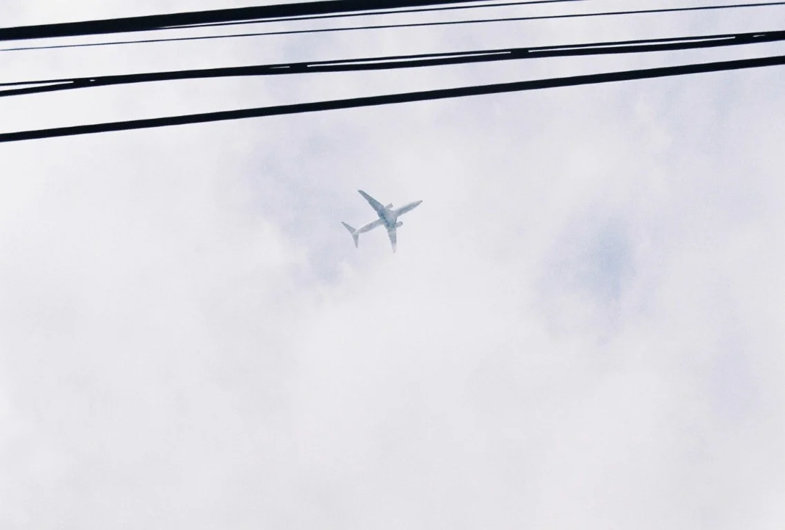 実際に撮影した写真