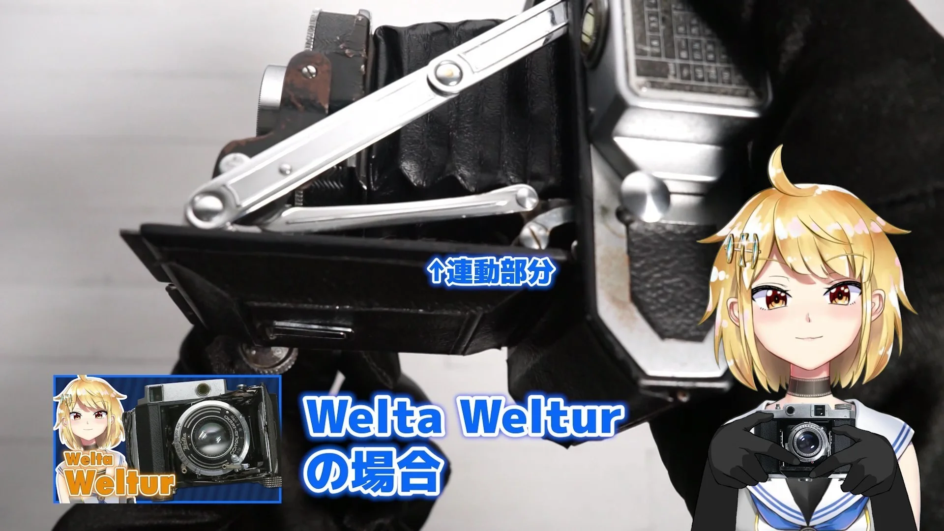 Welta Welturの連動