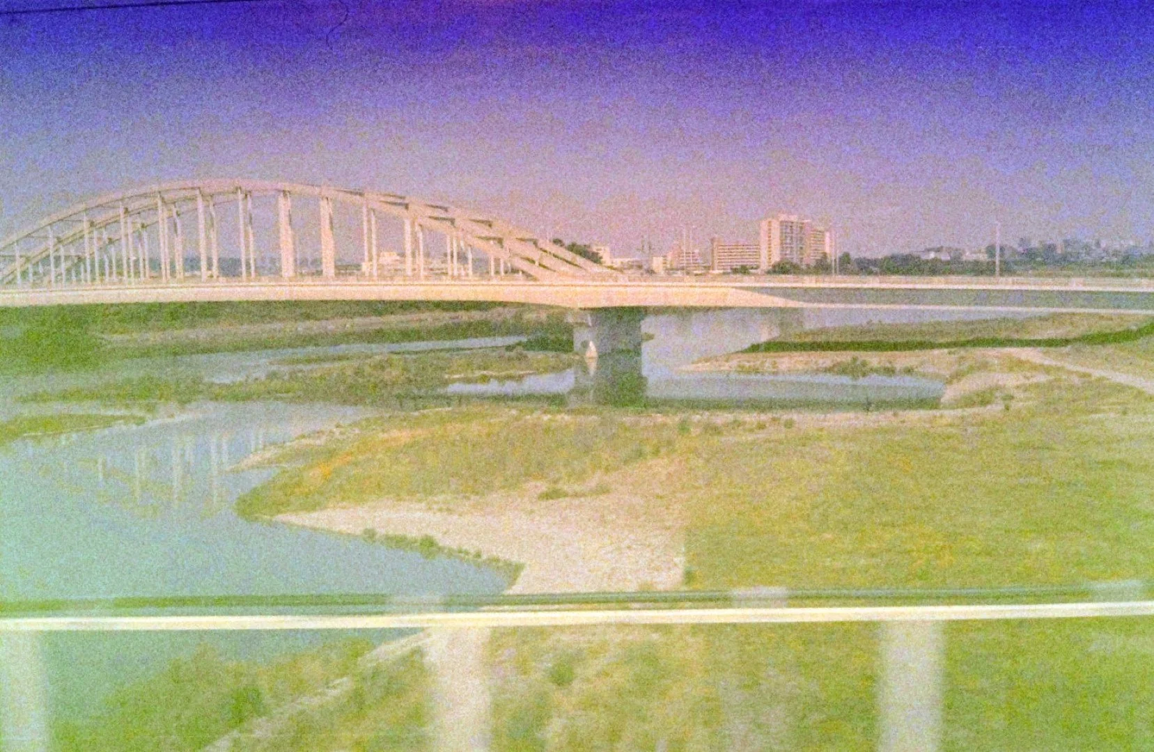 コニカ業務用400 2003年期限(19年落ち)作例