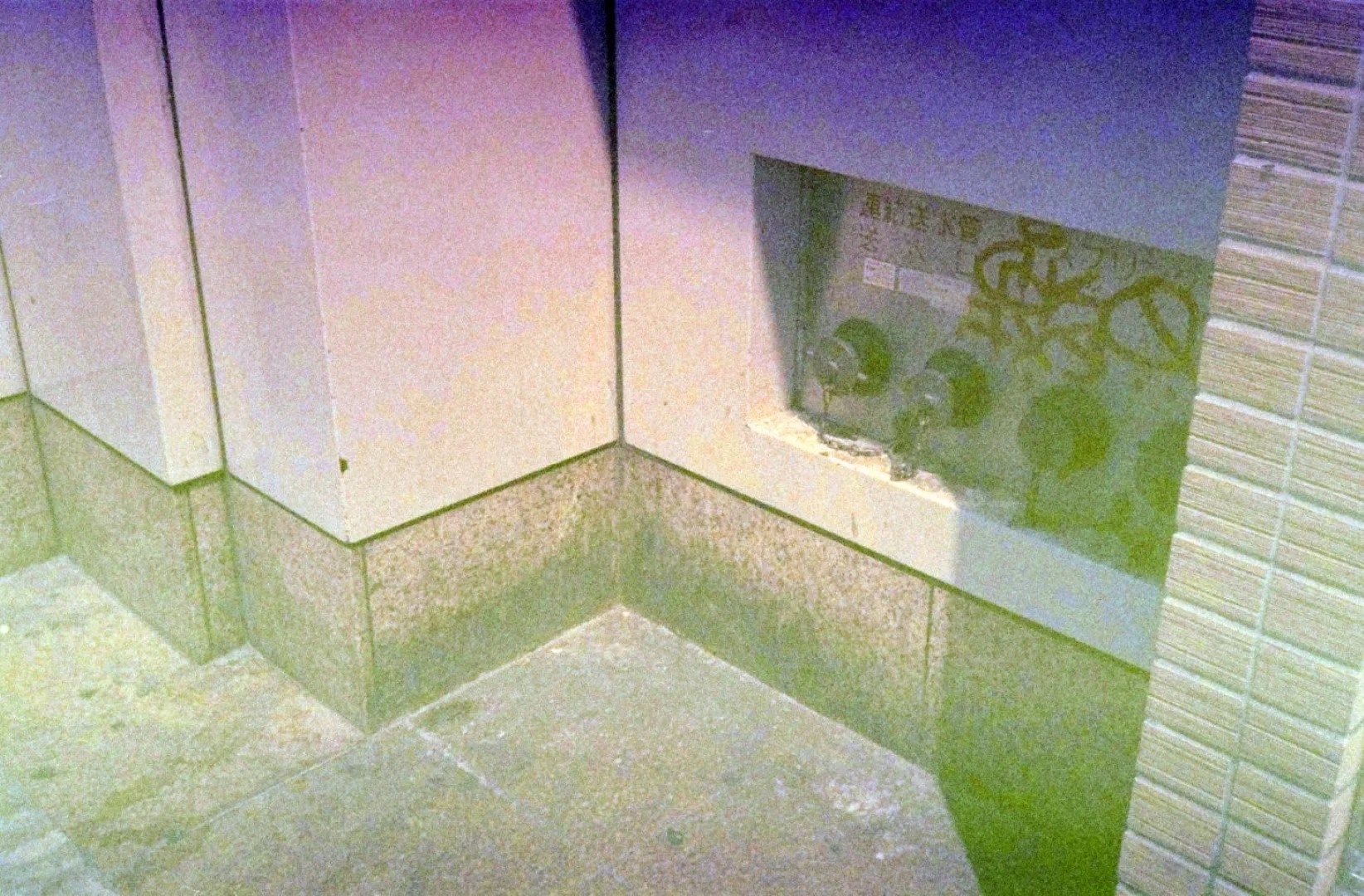 コニカ業務用400 2003年期限(19年落ち)作例