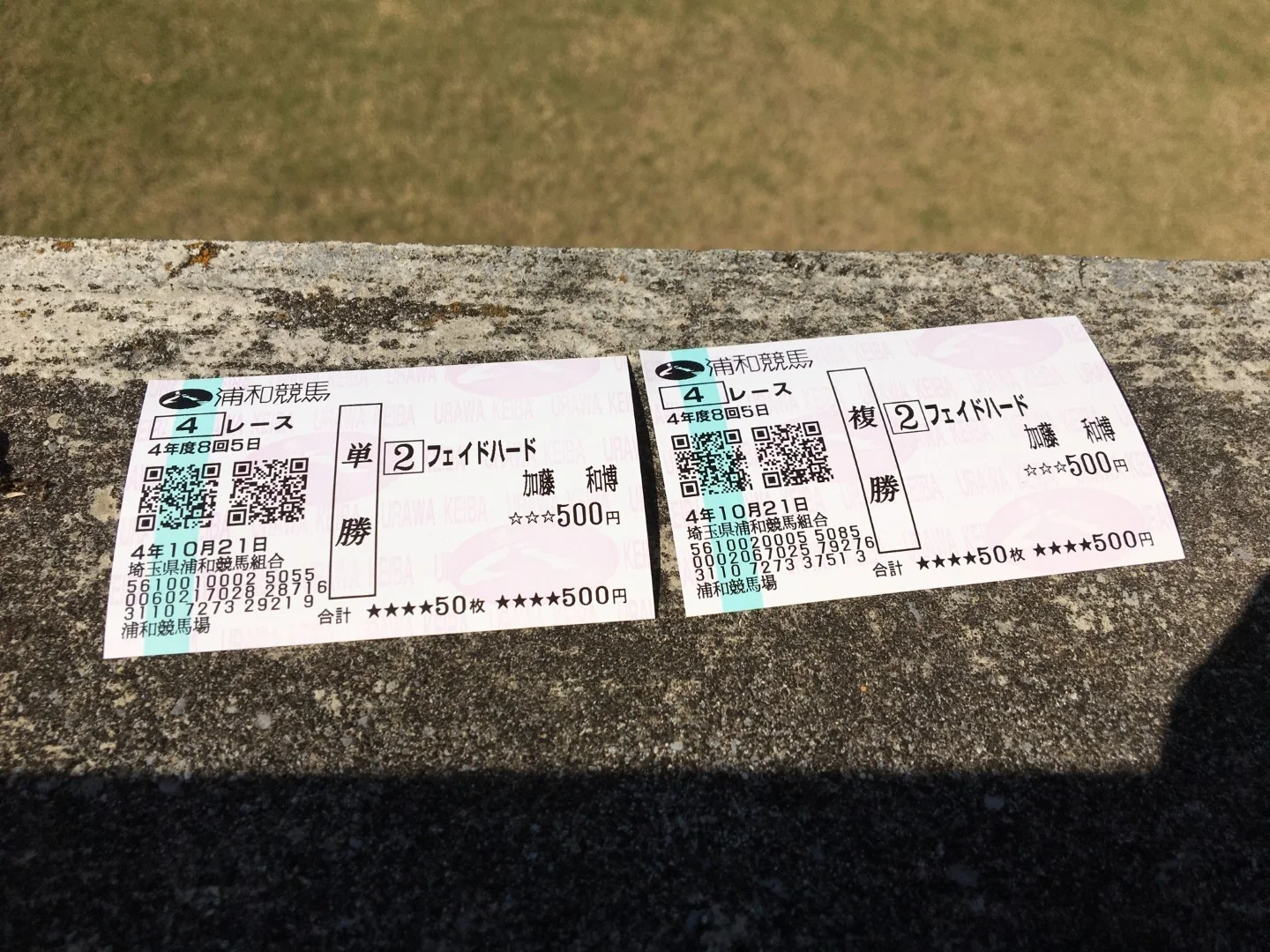 フェイドハードの馬券