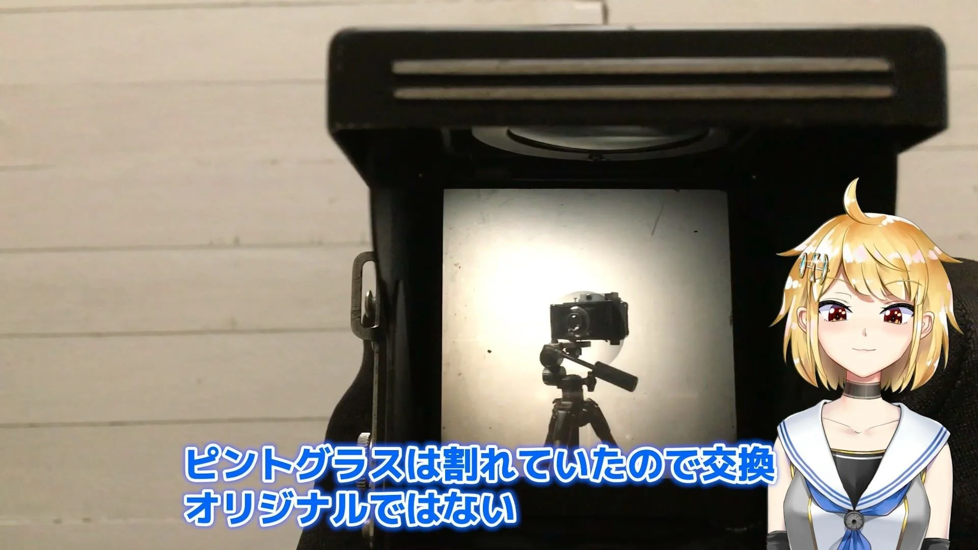 ウエストレベルファインダー