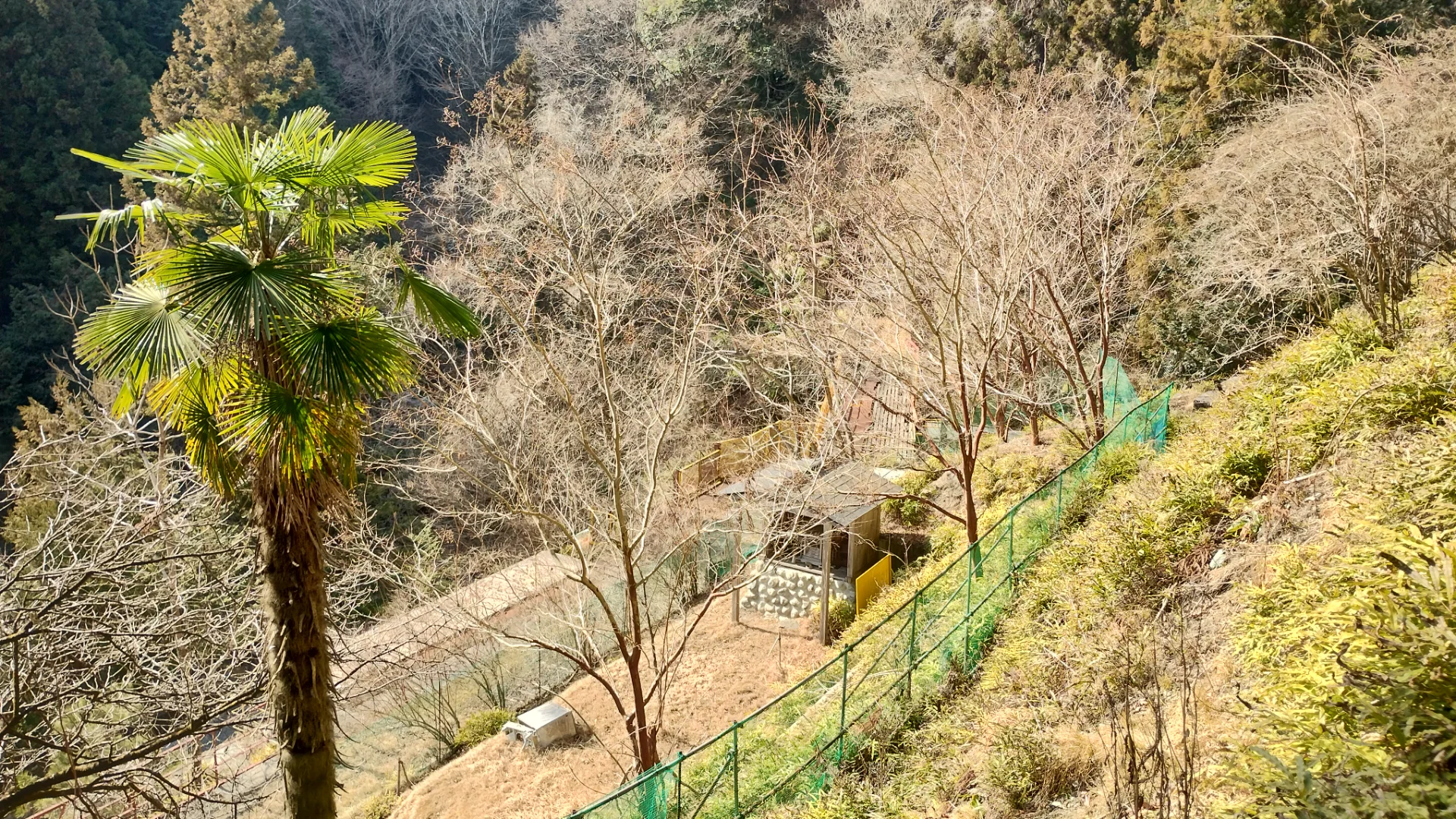 鉱山鉄道のレール