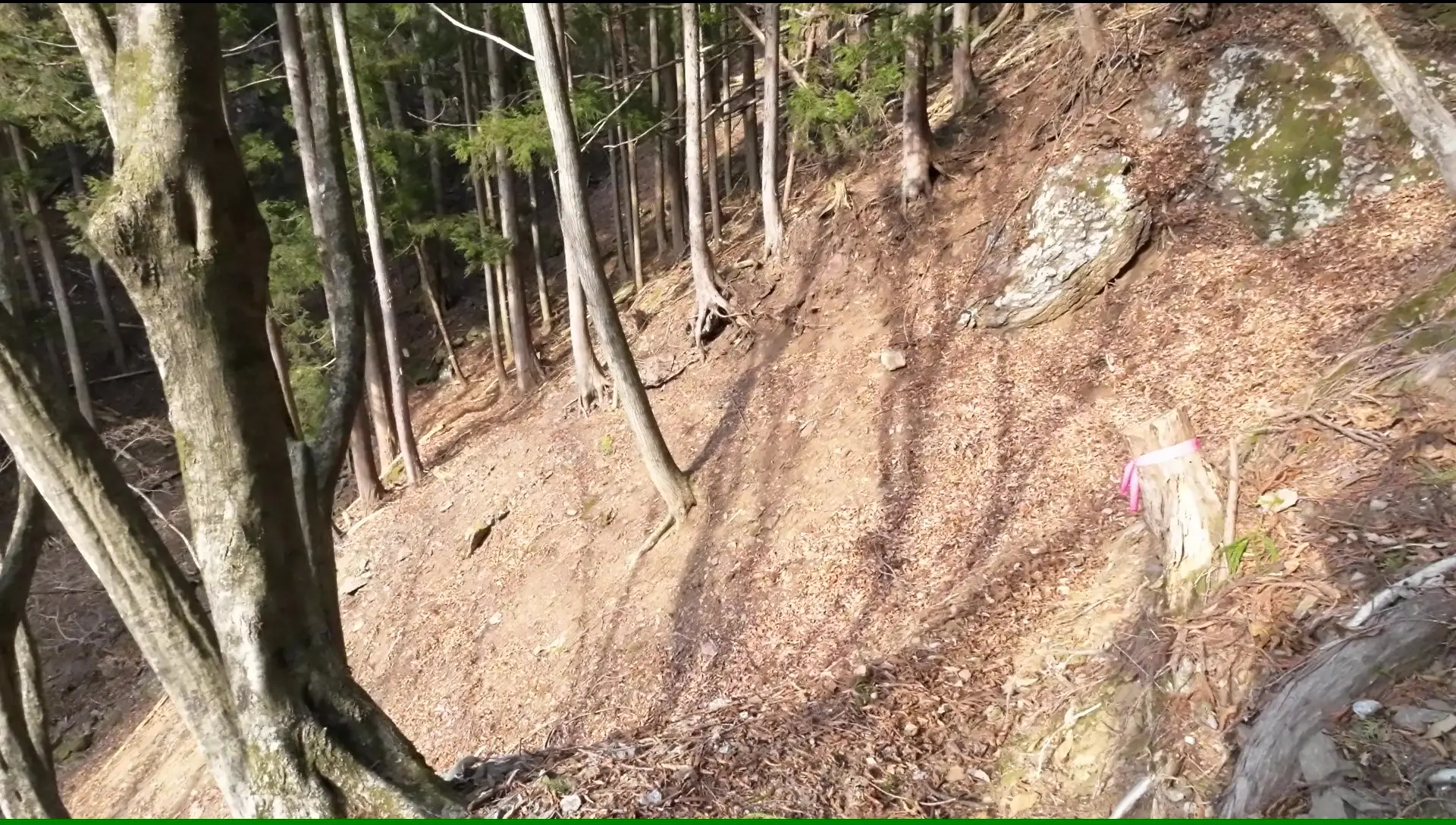 落ち葉が危ない