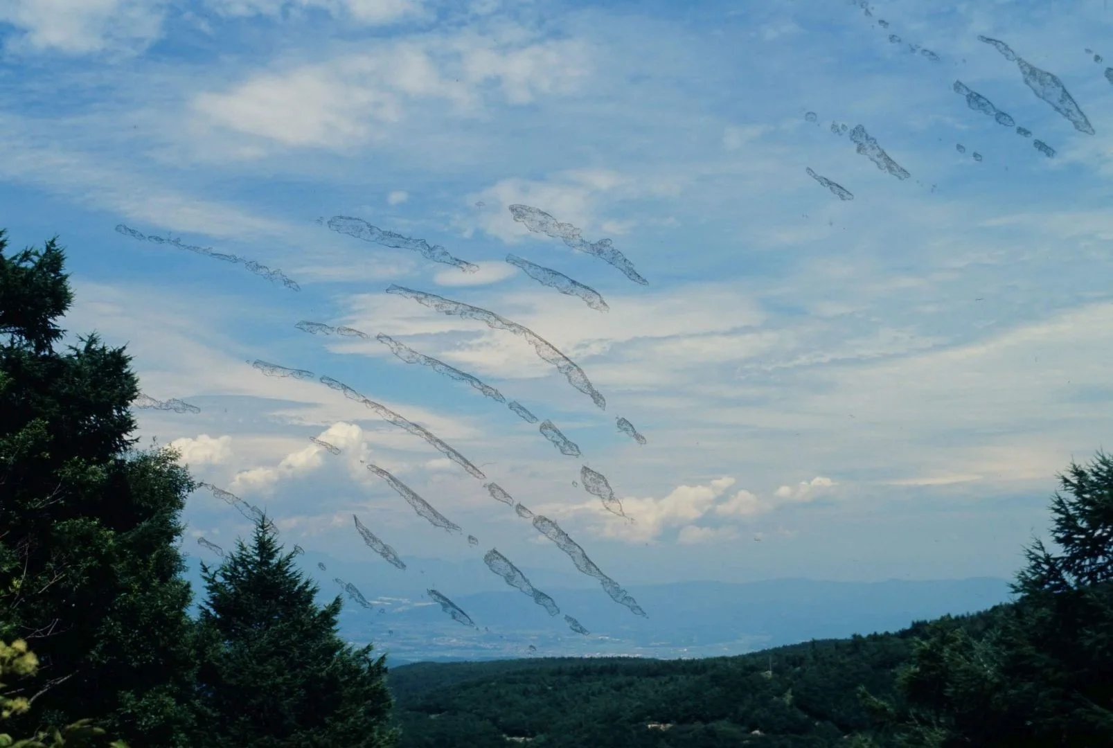 貼り付いたフィルムのスキャン