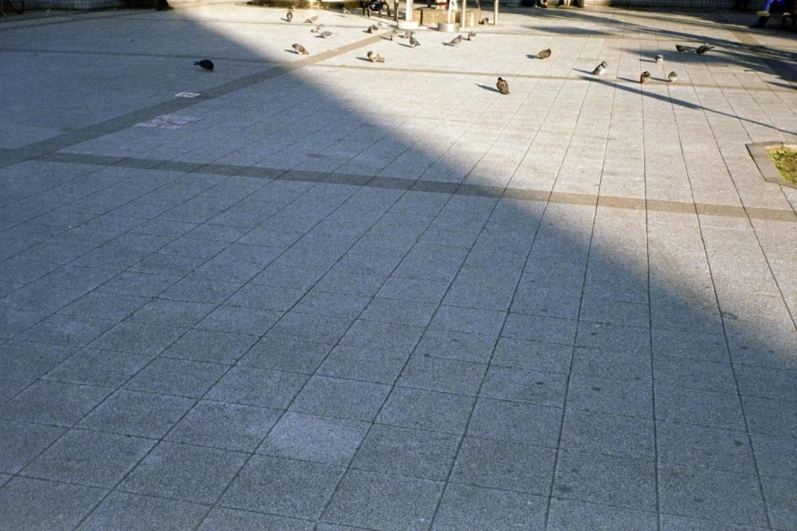 オリンパス35S作例