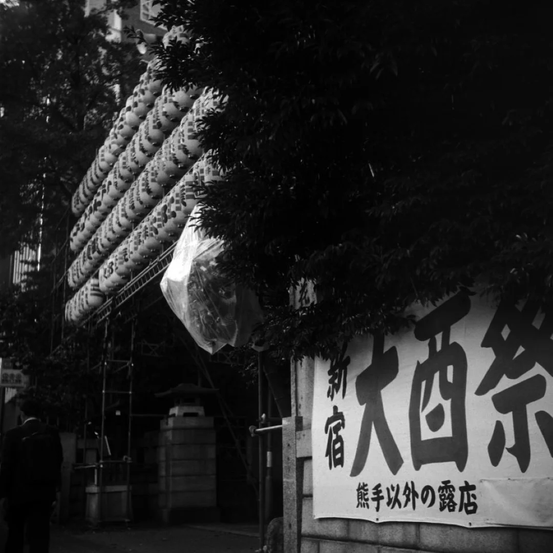 アイレスフレックスYIII 撮影した写真