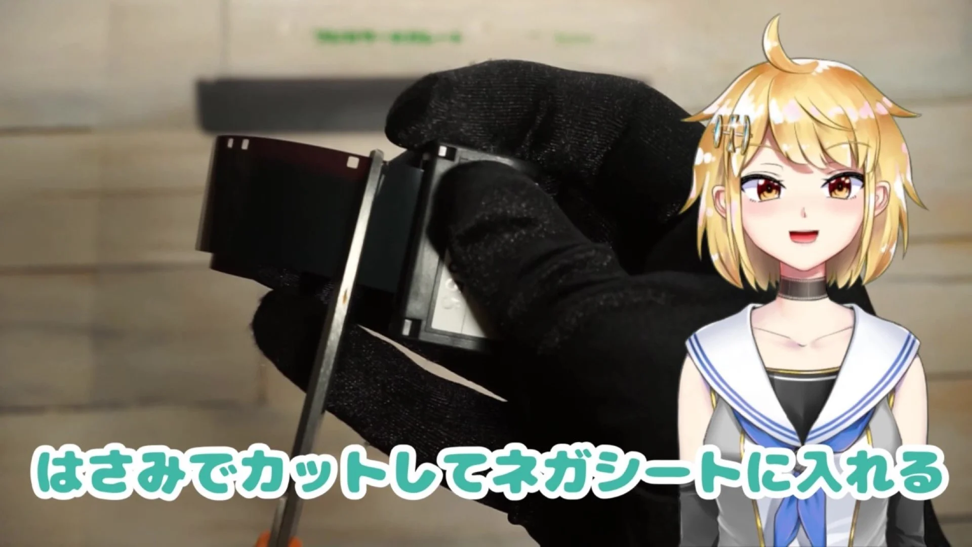 ハサミで切ってネガシートに入れる