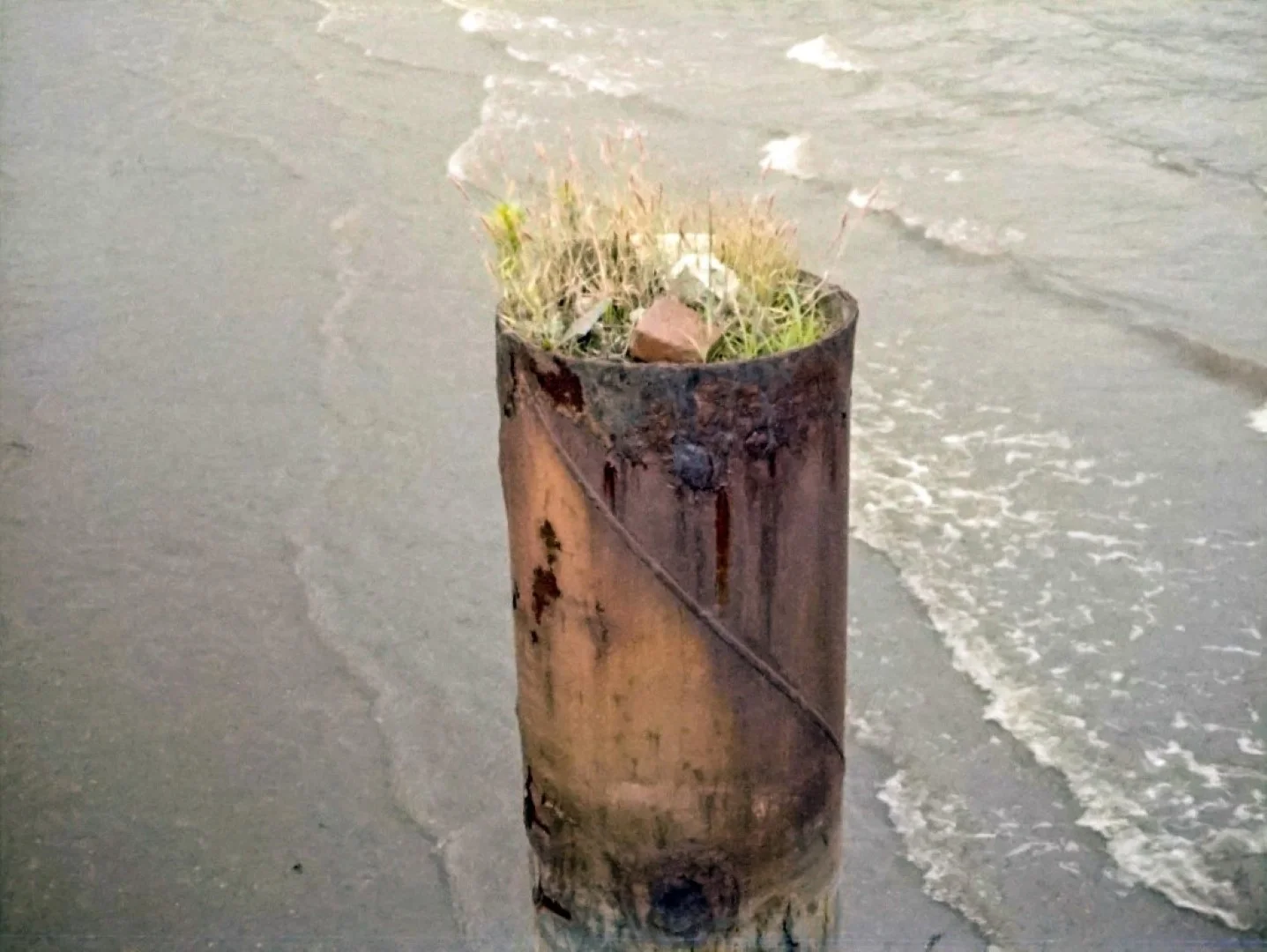 PENTAX auto110で撮影した写真