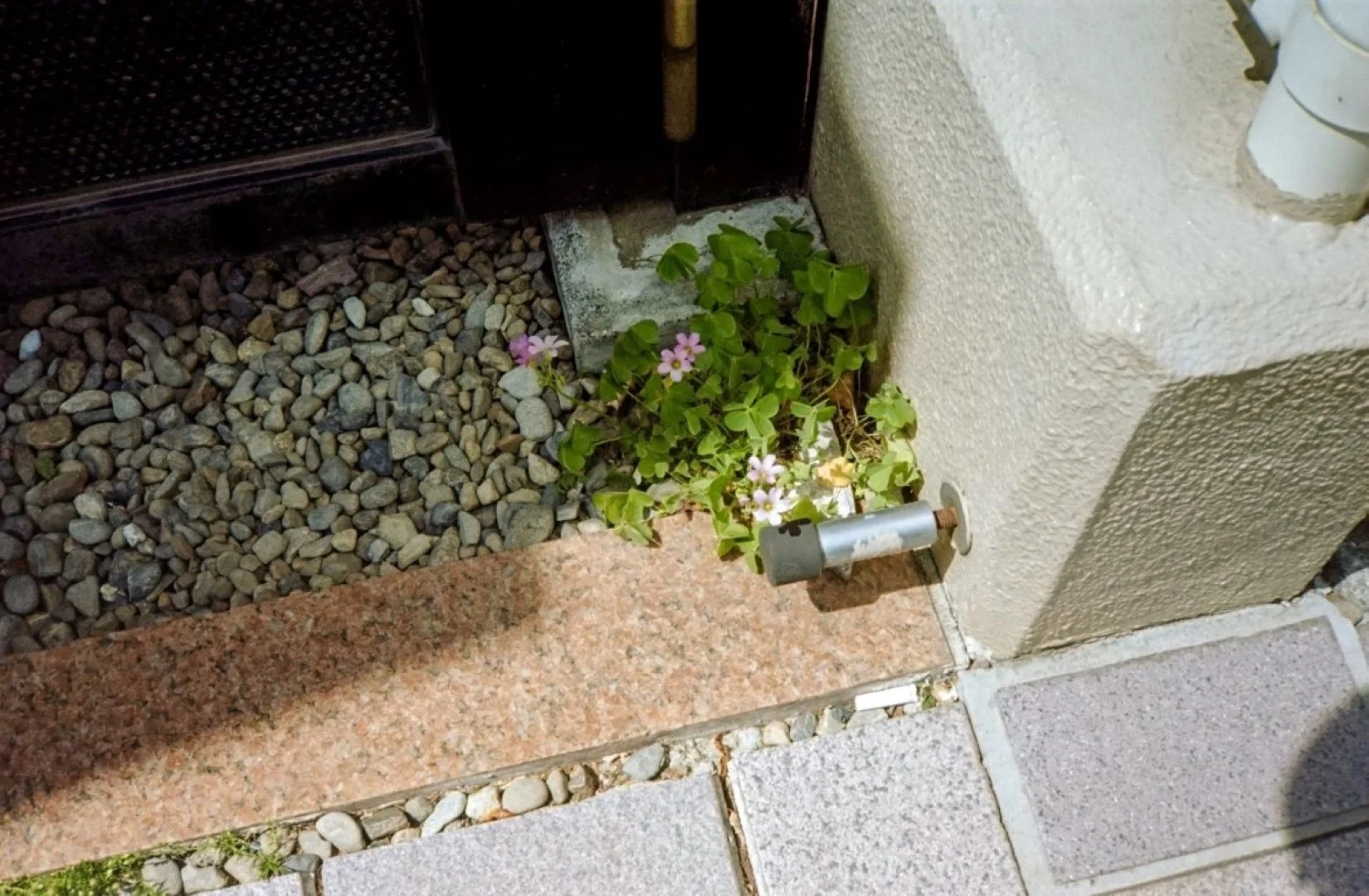 コニカC35EFで撮った写真