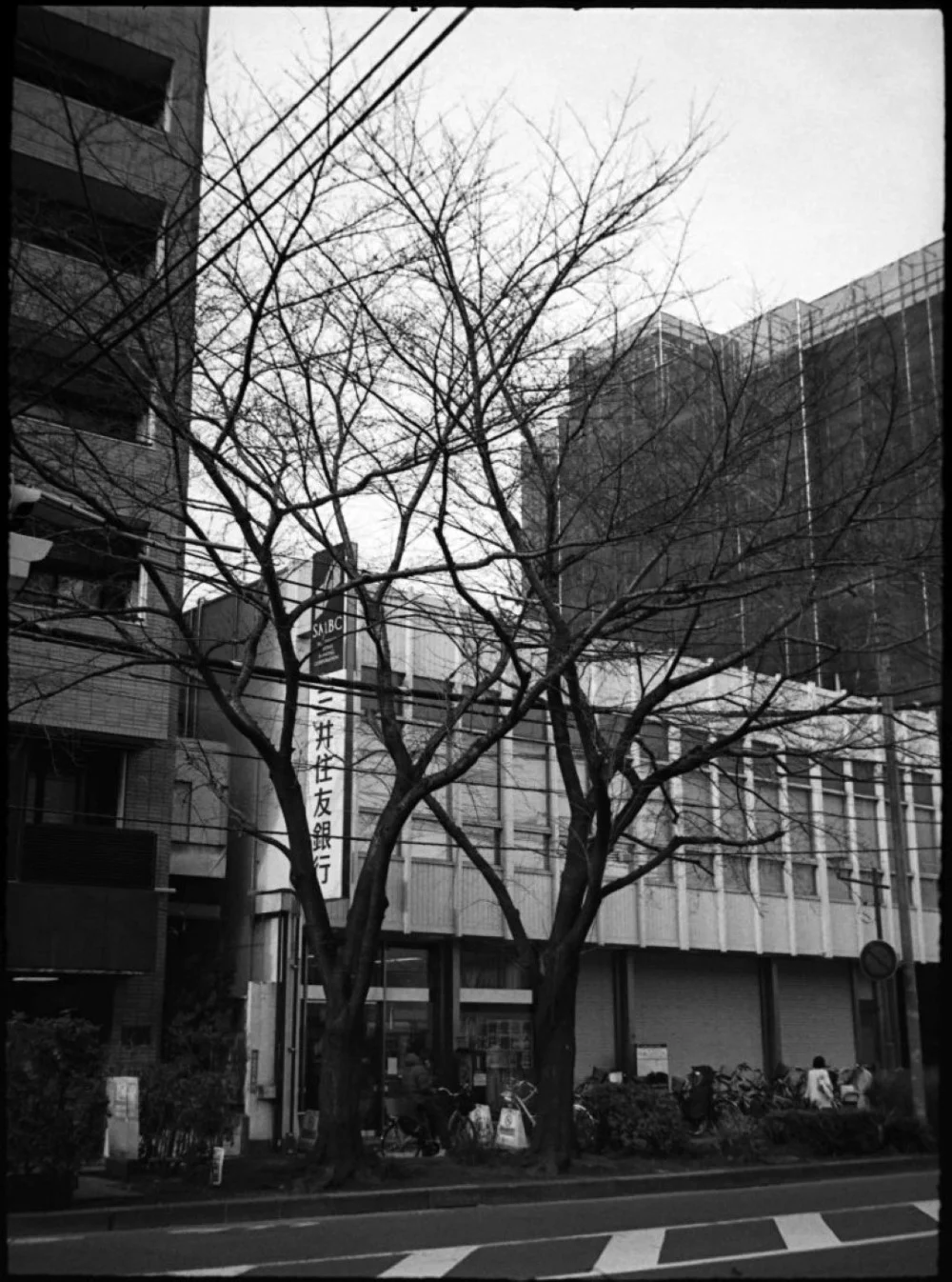 Canon Demi（初代）で撮影した写真