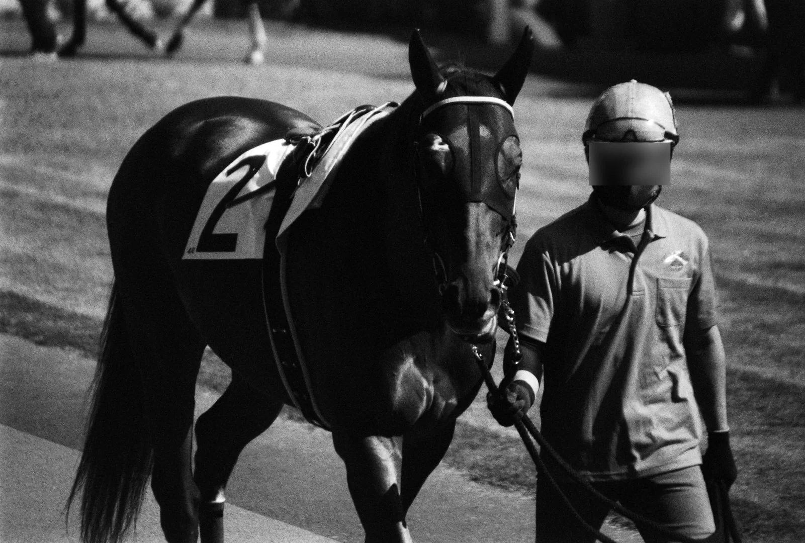 フェイドハード