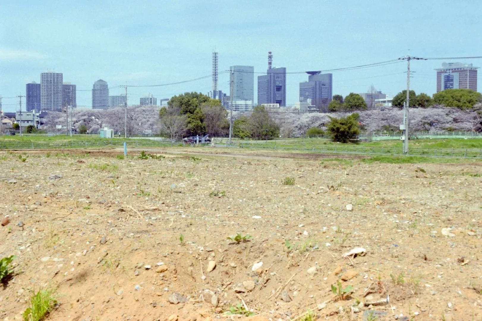 PELLIX QL / FL 50mm F1.4 作例