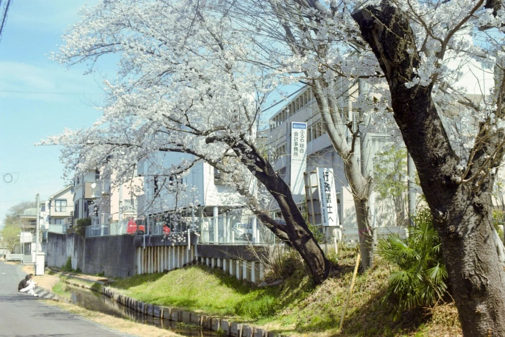 PELLIX QL / FL 50mm F1.4 作例