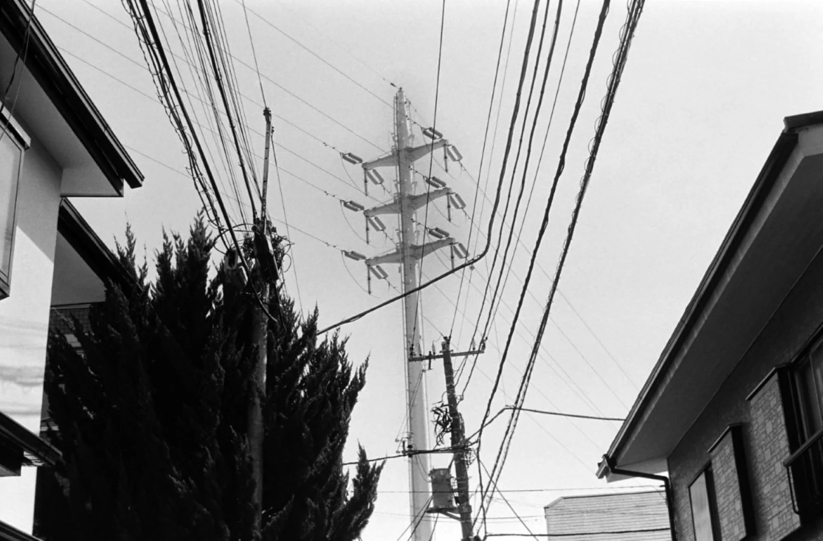 CT1 Superで撮った写真