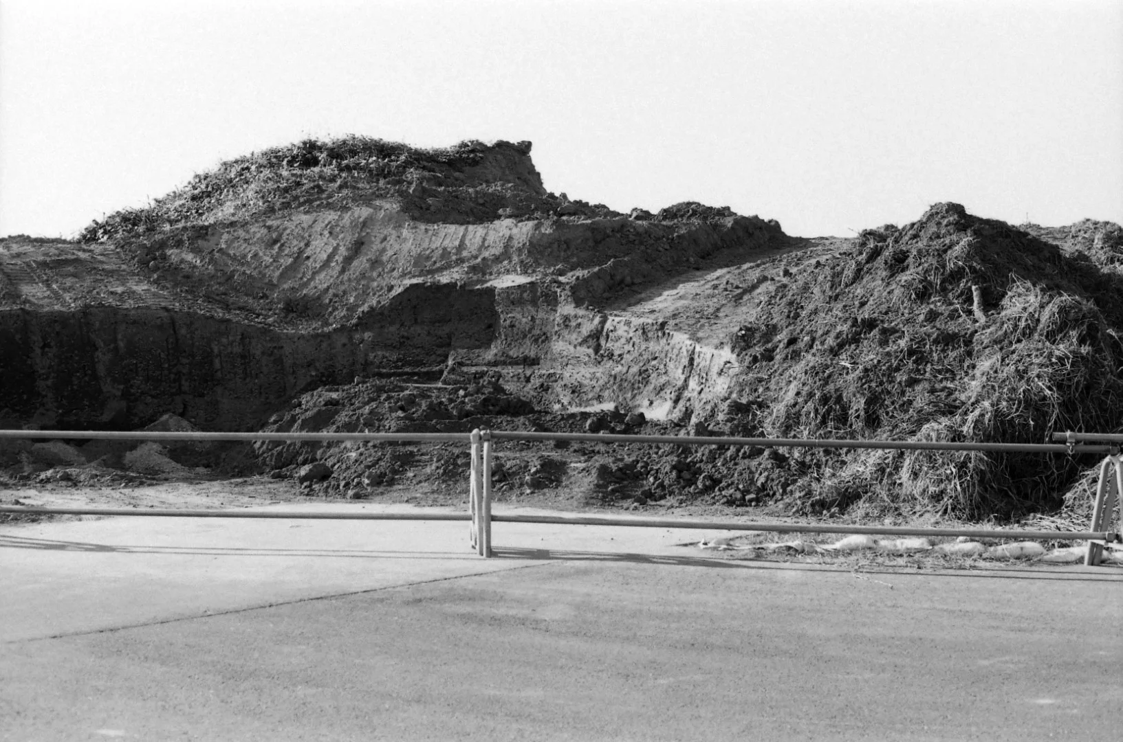 Canon EOS 620とEF 50mm F1.8 IIの作例