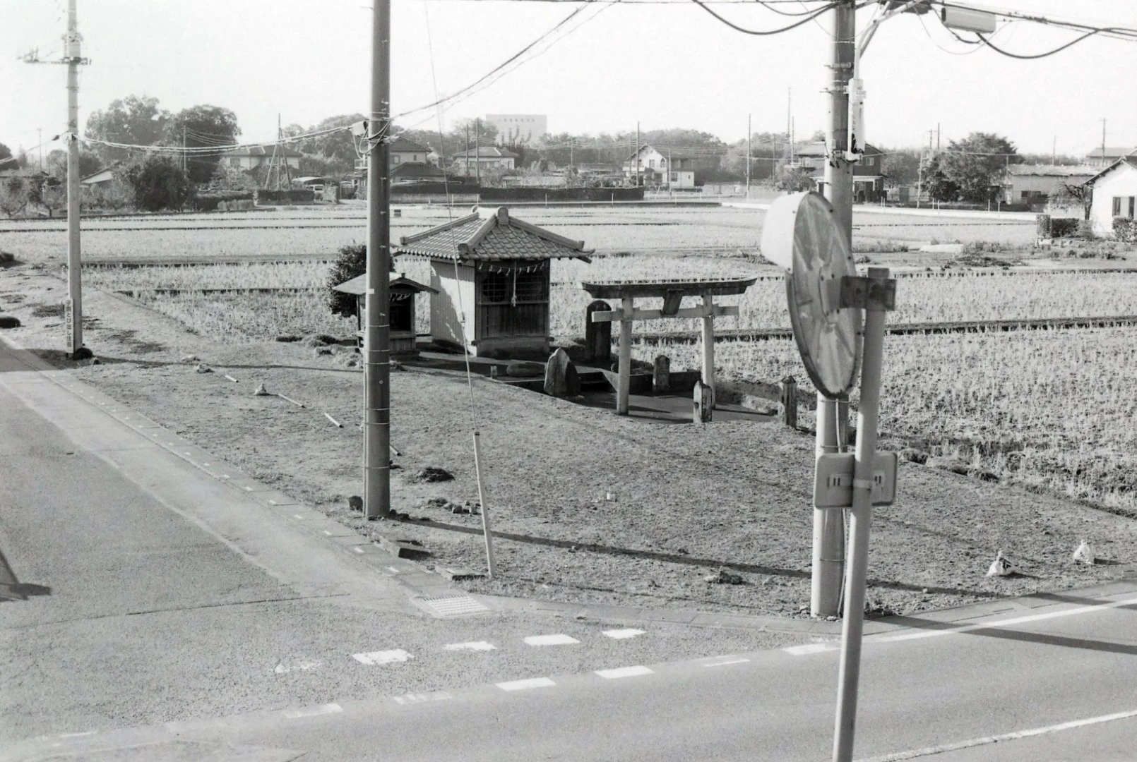 Canon EOS 620とEF 50mm F1.8 IIの作例