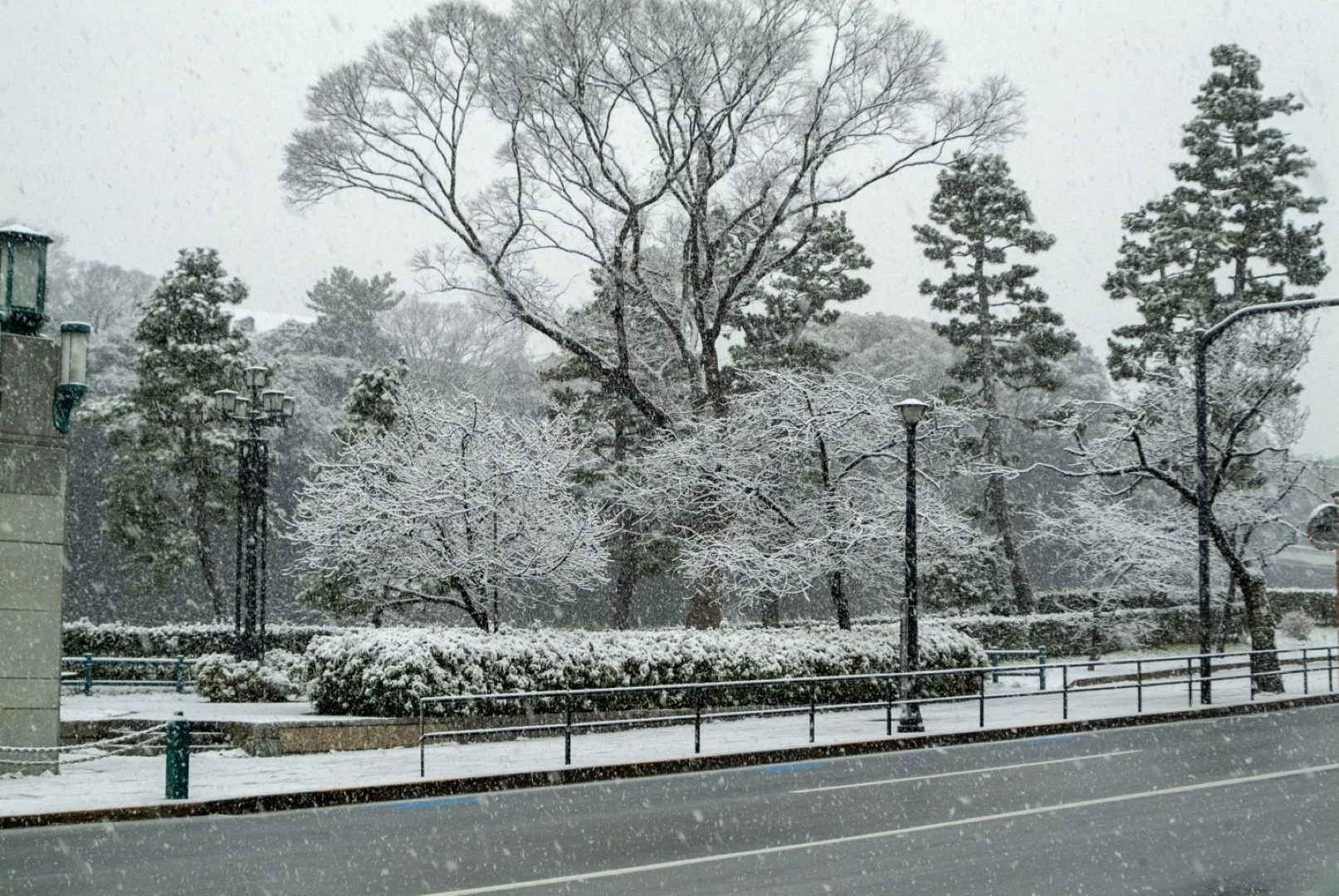 Fine Pix S2 Proの作例 RAW・617万画素で撮影