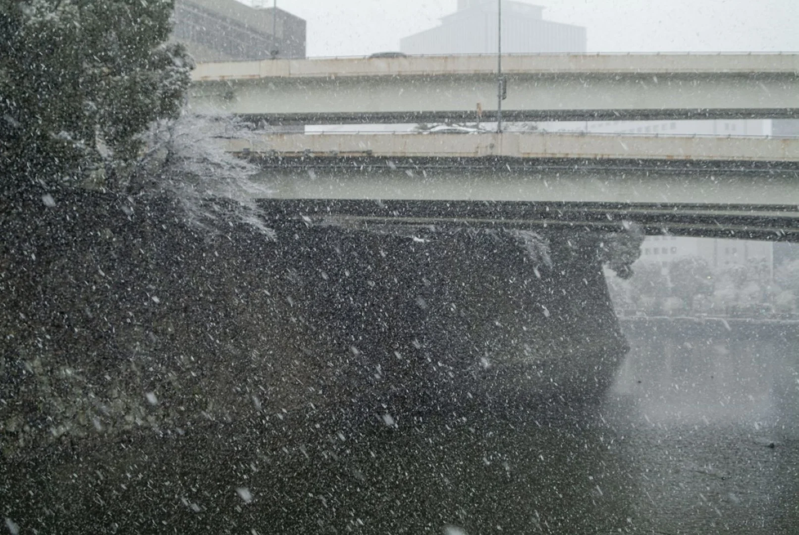 Fine Pix S2 Proの作例 RAW・617万画素で撮影