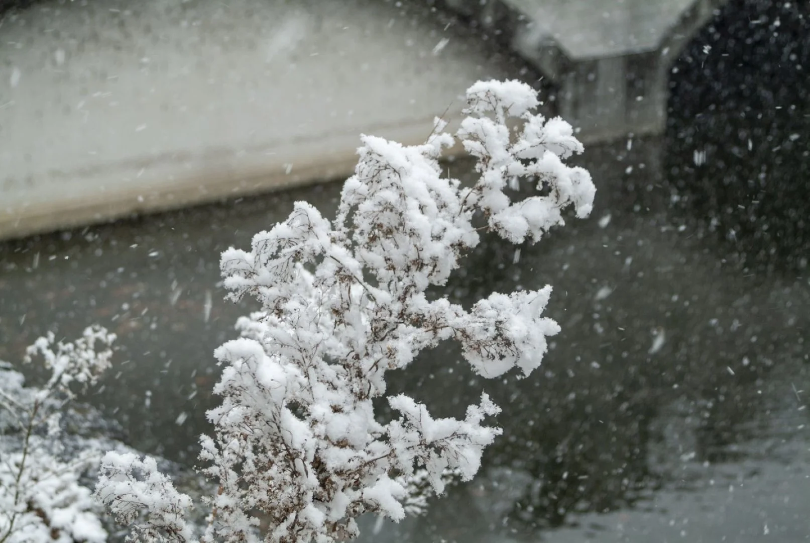 Fine Pix S2 Proの作例 RAW・617万画素で撮影