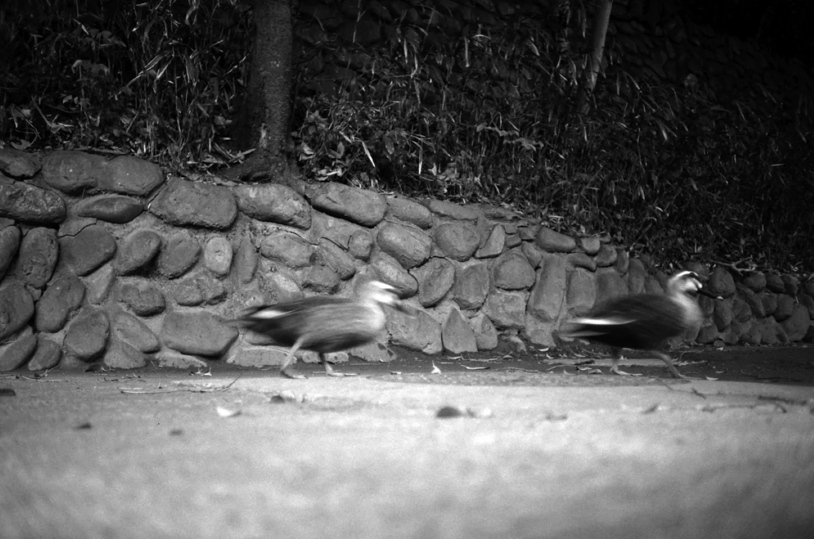 スローシャッター