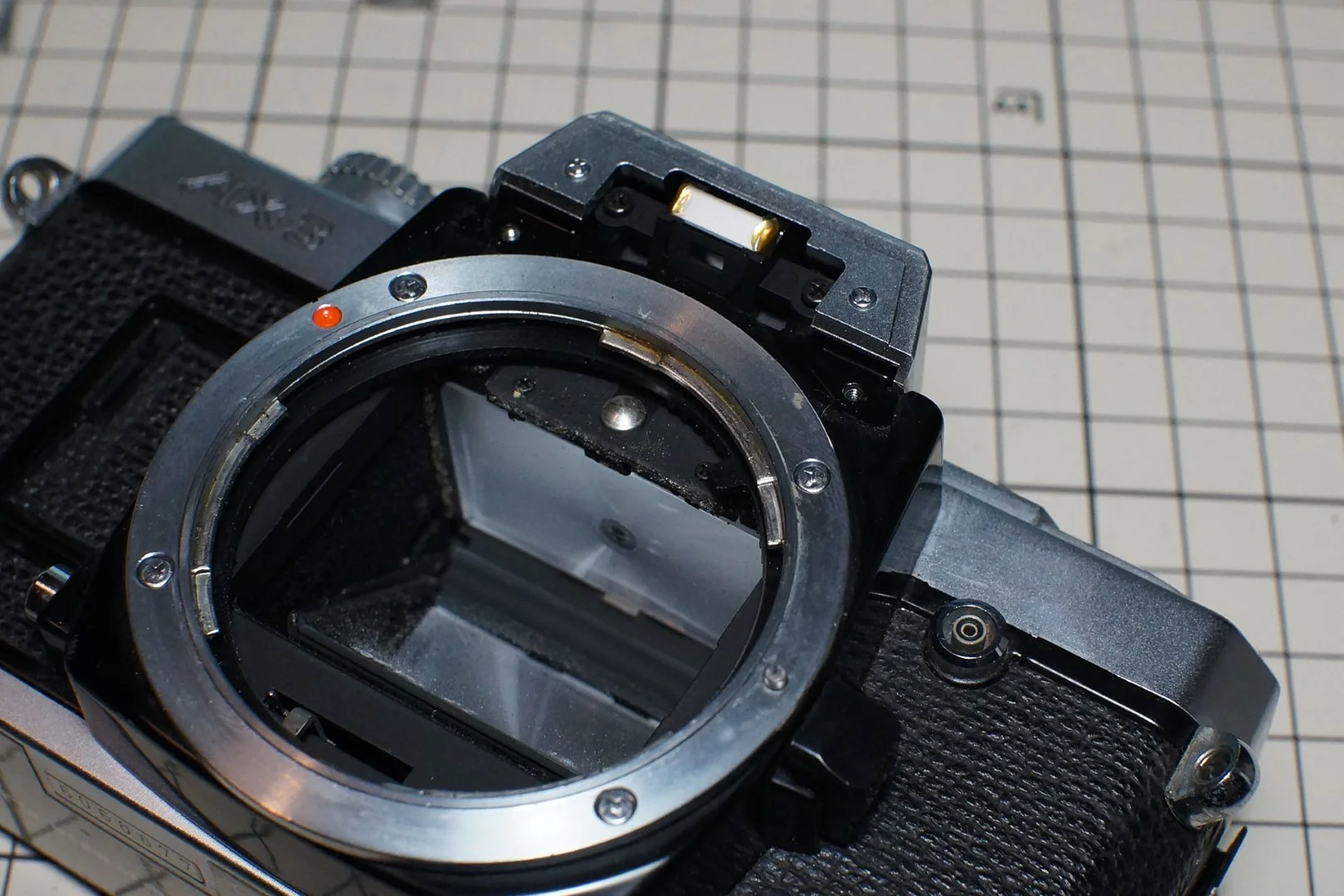 銘板下のネジを外す