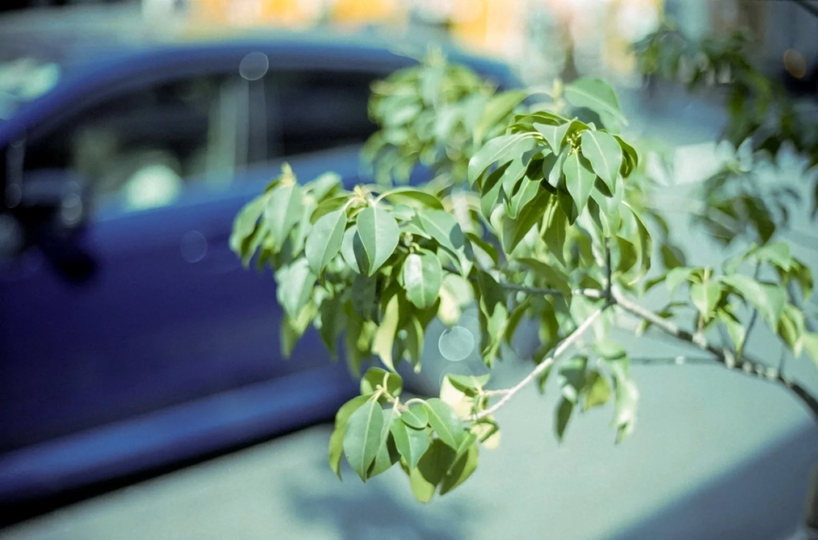 フジカAX-3の作例