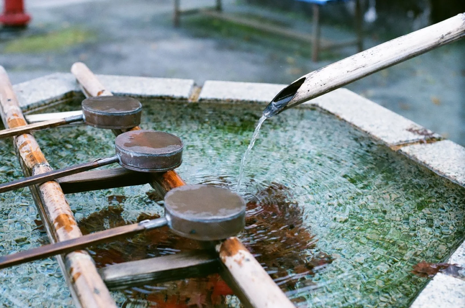 FUJICOLOR 100で撮影