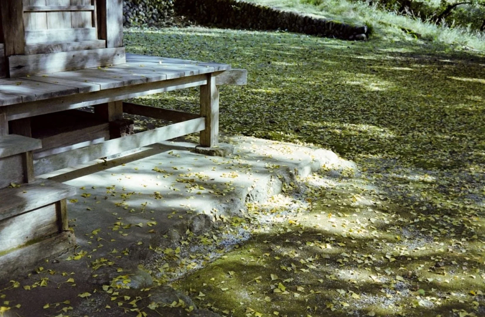 上海申光400 比較