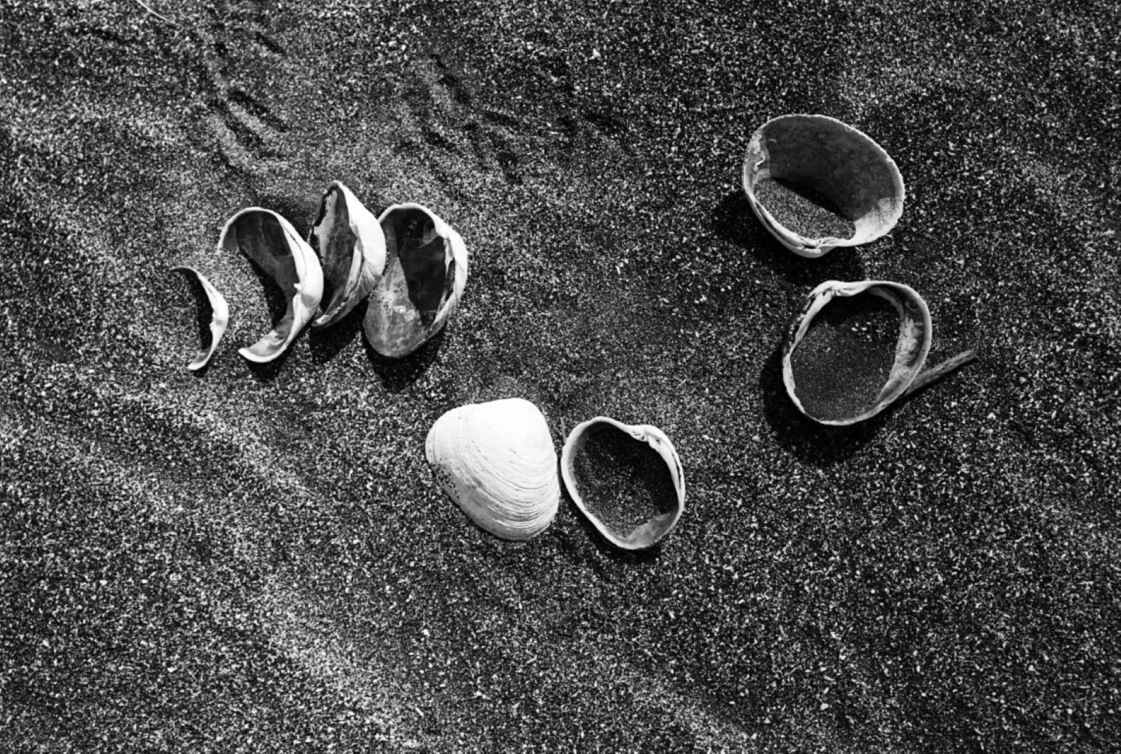 Zorki-1+Jupiter-8作例